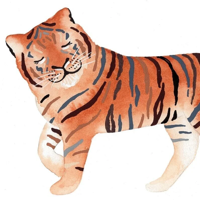#throwback to this guy 🐯
*
*
#tiger #bigcat #animalcharacter #ilovetigers #kidlitartist #illustration #childrensillustrator #picturebooks #kidsbooks #design #art #artstagram #BuffysArtShop #etsyshop #createeveryday #girlswhodraw #watercolour