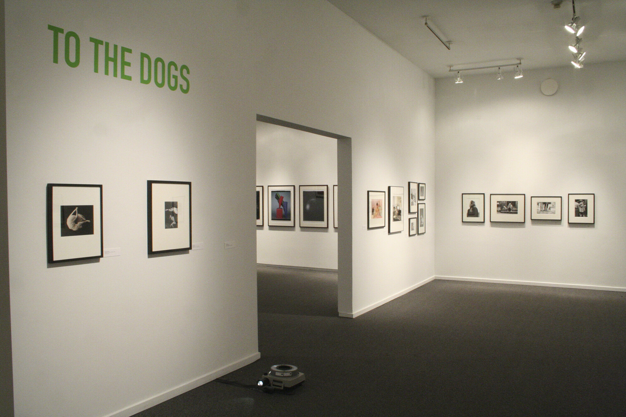 To the Dogs_Presentation House Gallery #05.JPG