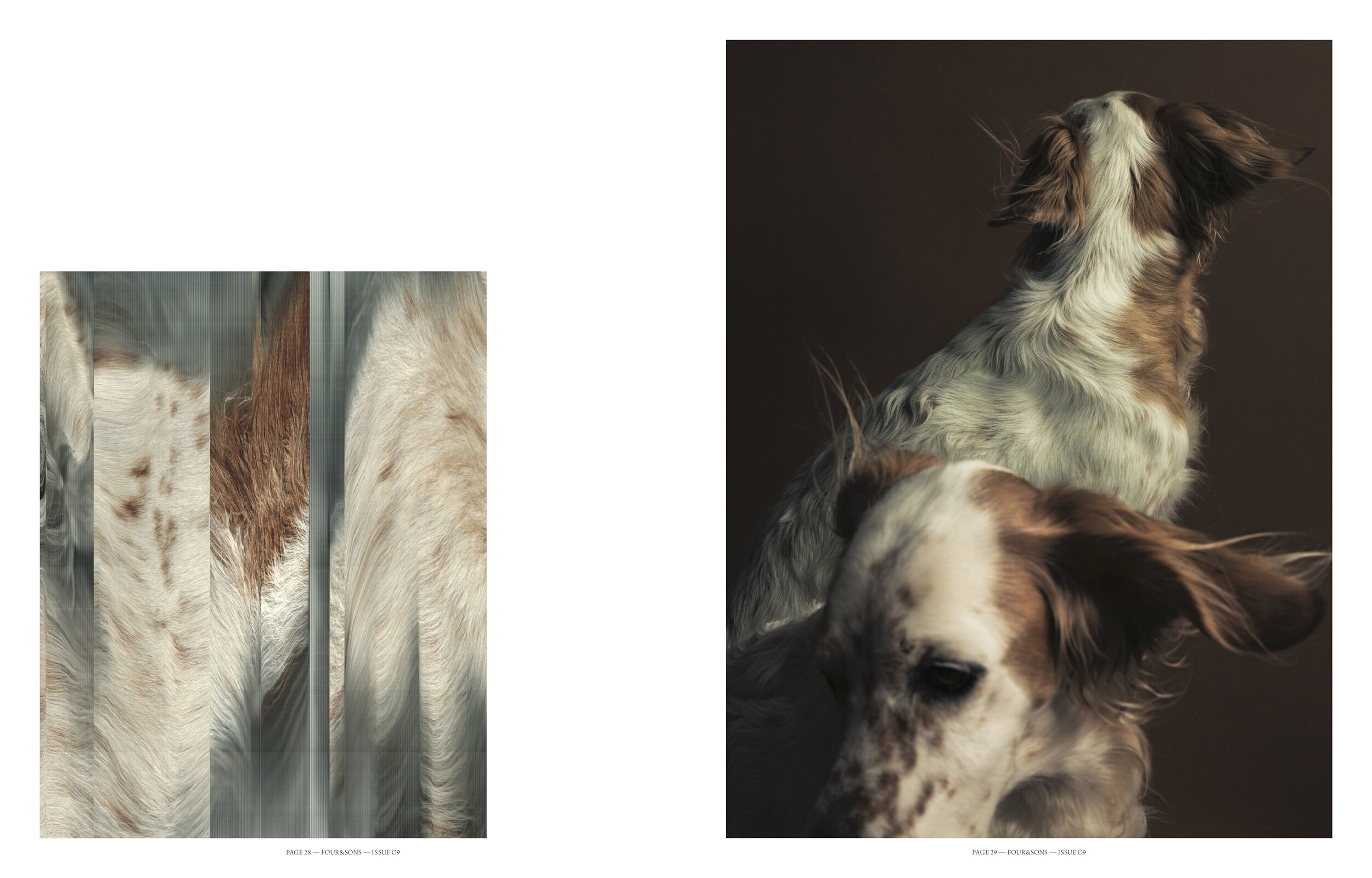 Four&Sons_Issue09_Bow Wow Wow2.jpg
