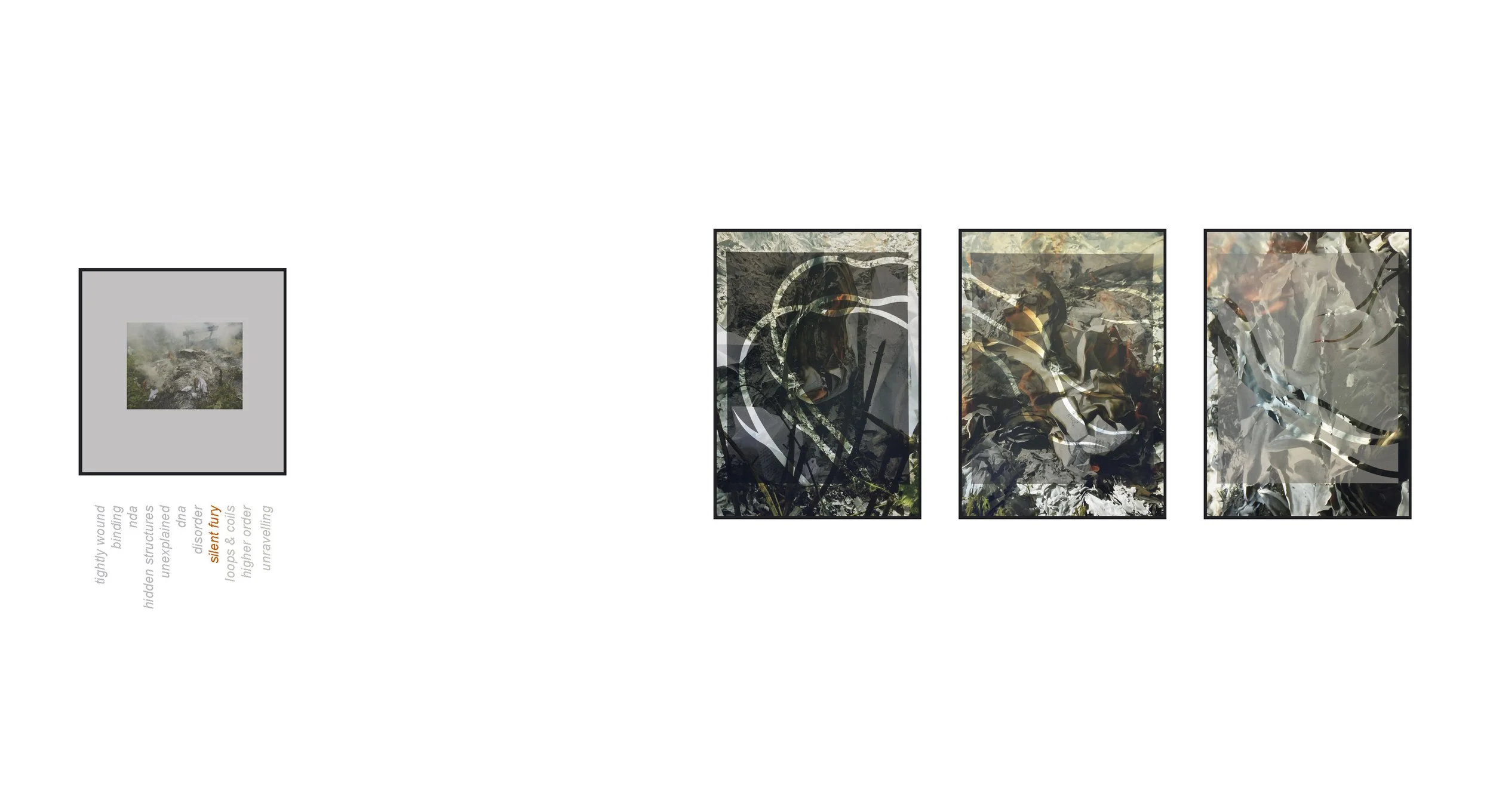 SIlent Fury with text.jpg