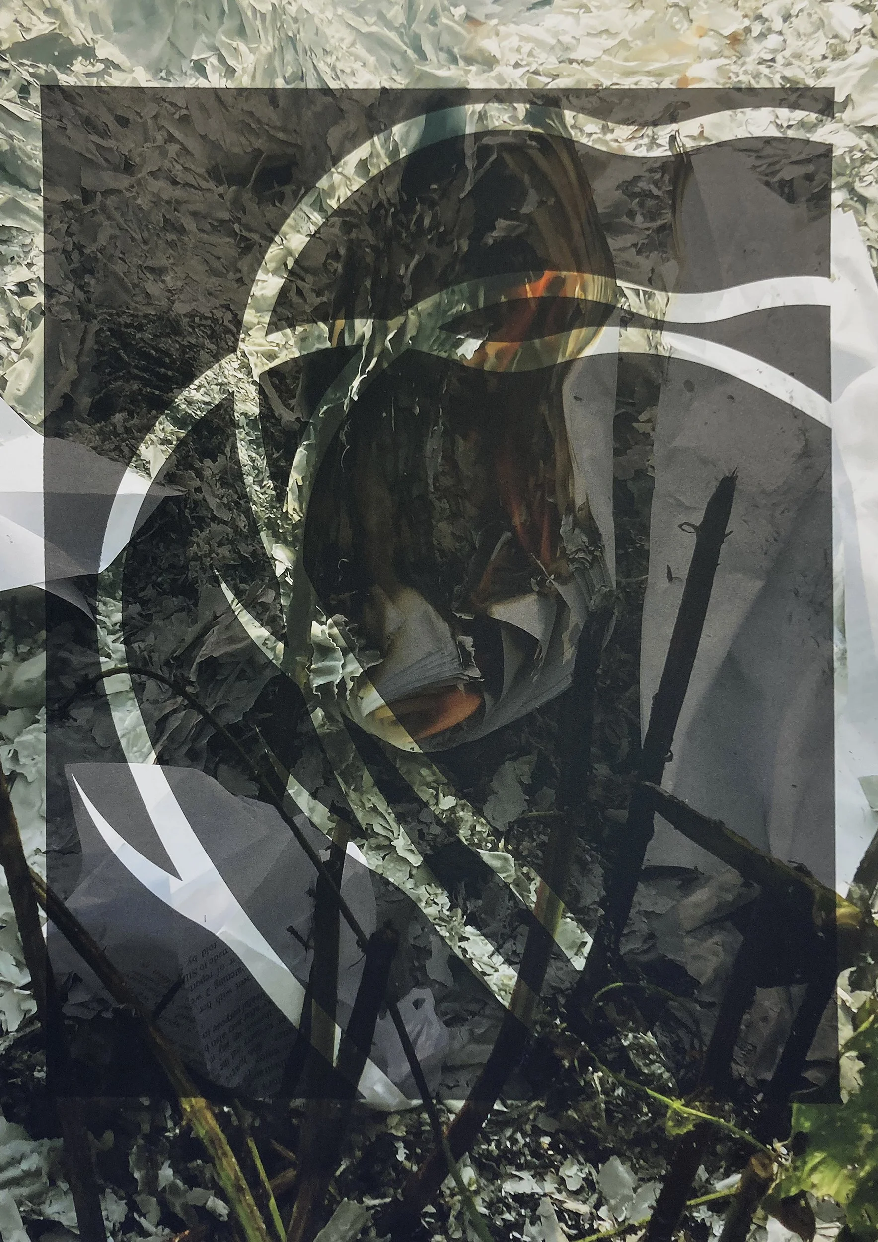 Jo Longhurst_Silent Fury1.screen.jpg