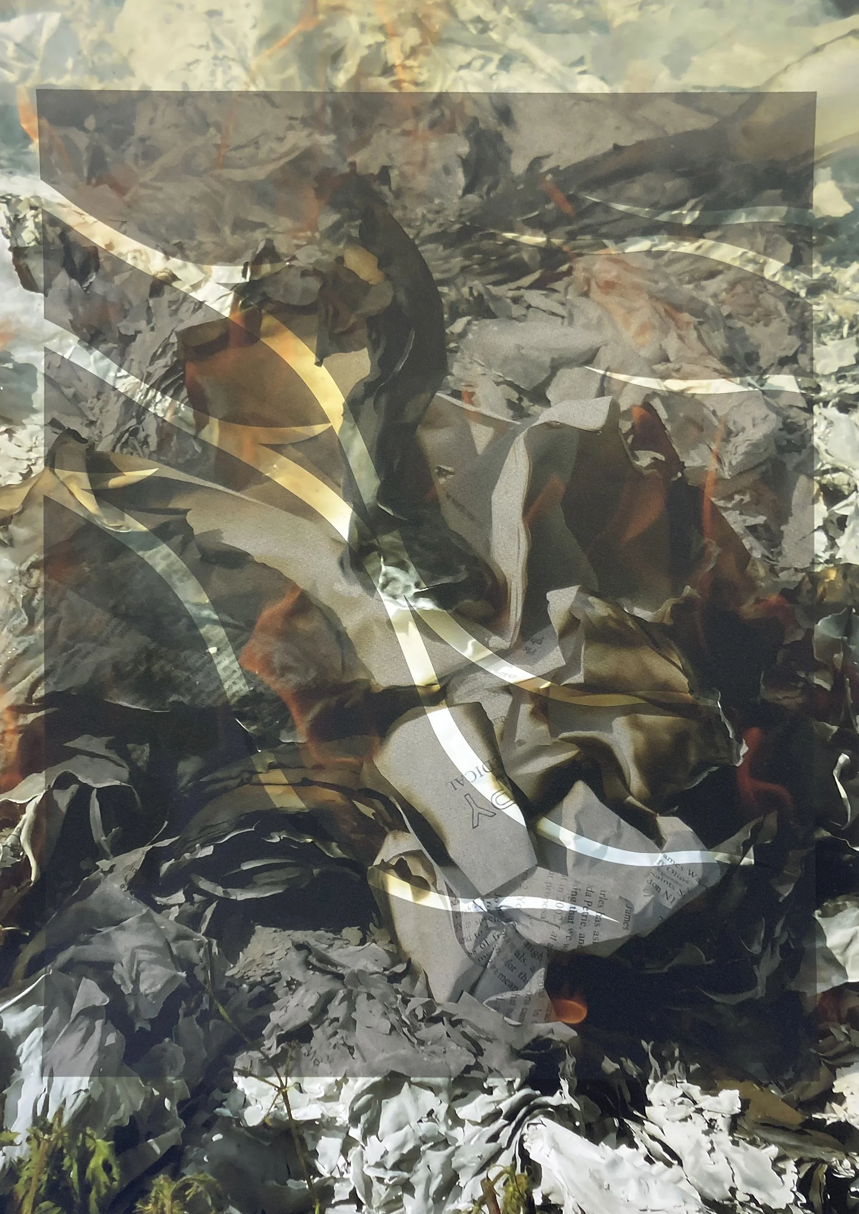 Jo Longhurst_Silent Fury2.screen.jpg