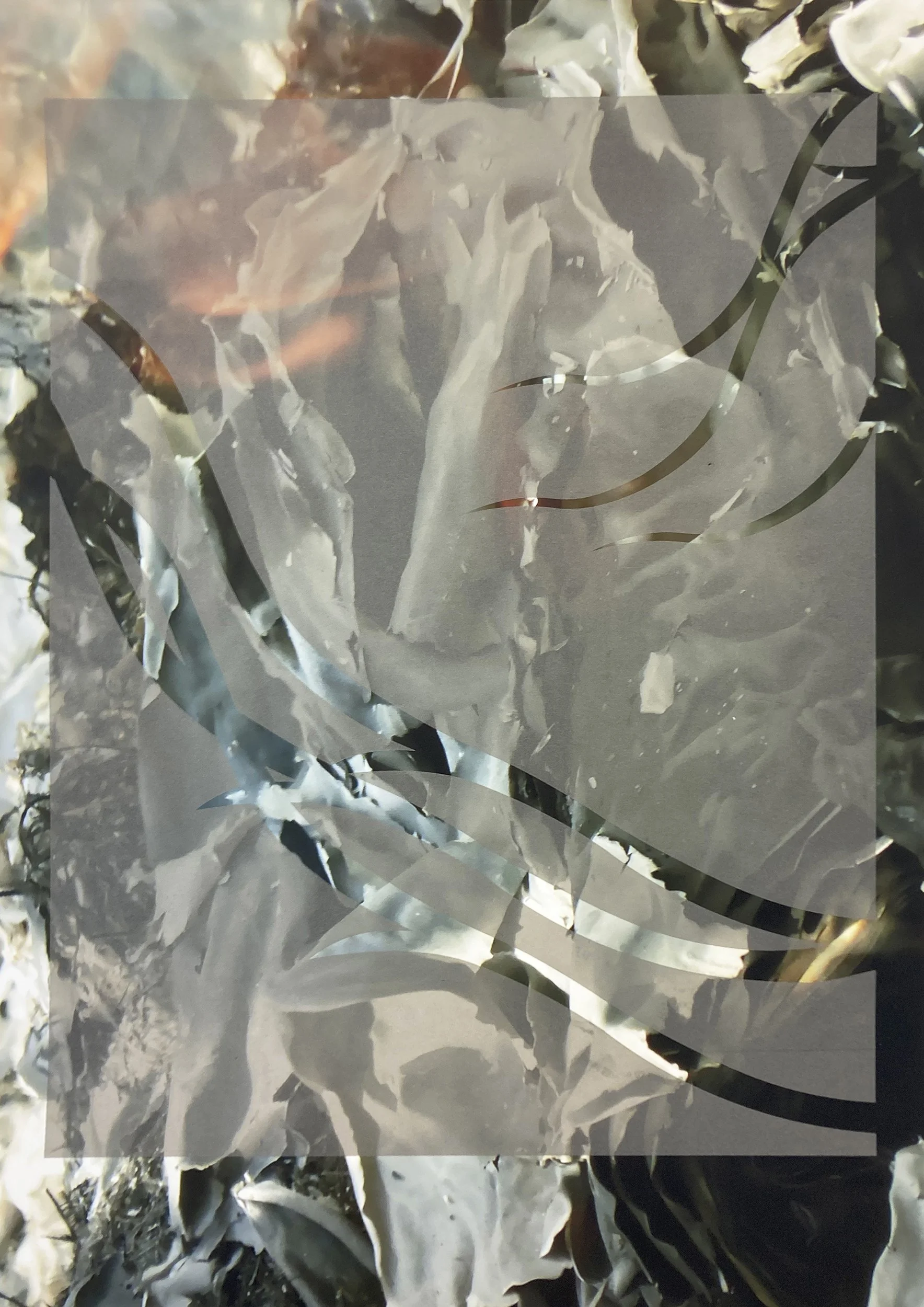 Jo Longhurst_Silent Fury3.screen.jpg