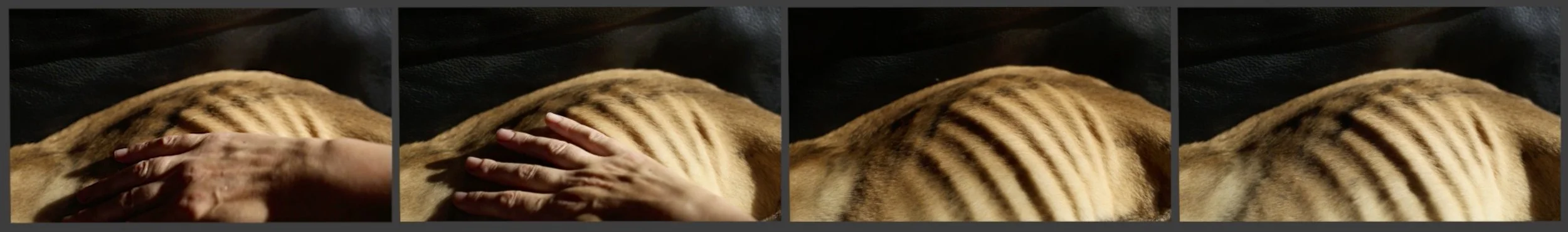 Jo Longhurst_Private View_videostill3.jpg