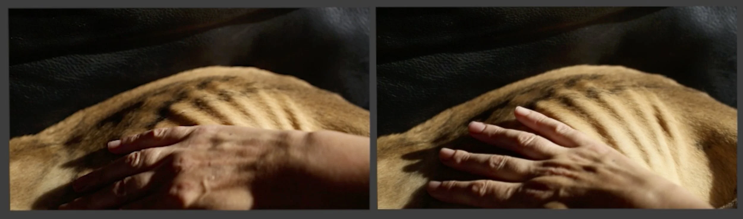 Inaugural Exhibition for dis_place Gallery