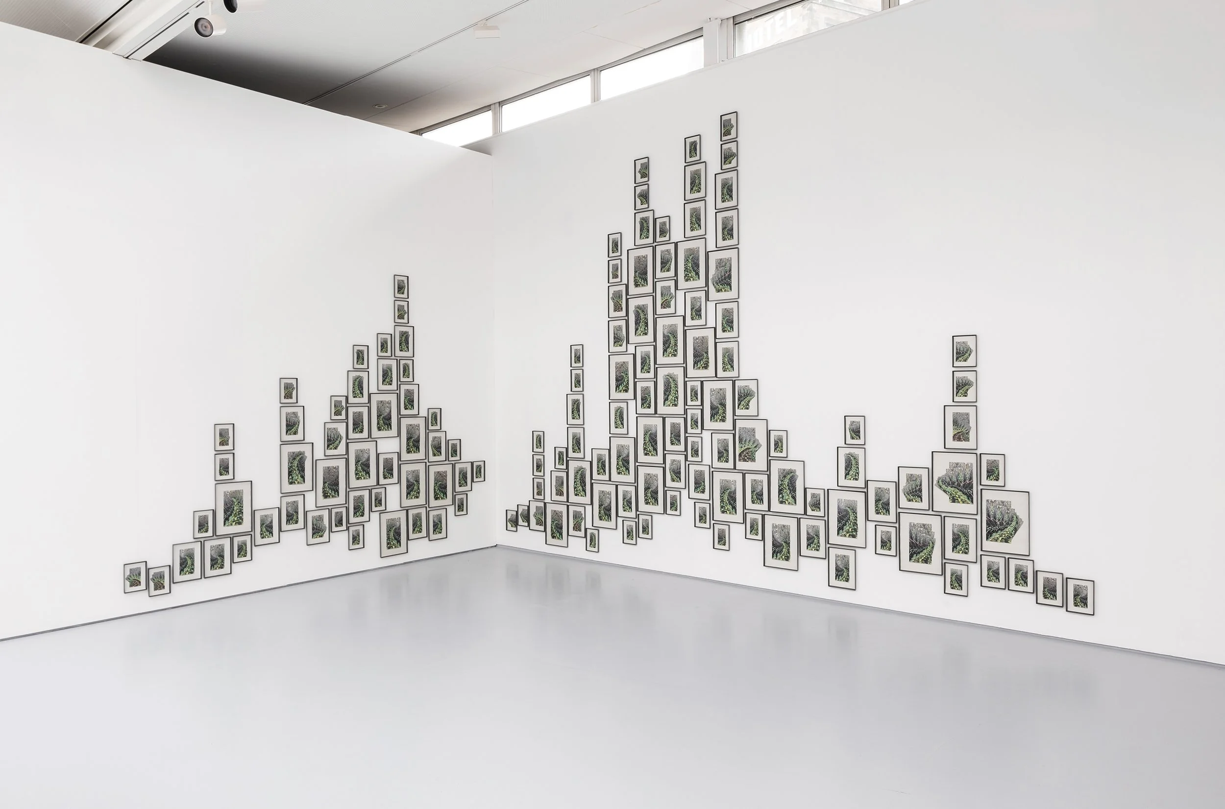 Crip 260902_DCA_WeContainMultitudes20.jpg