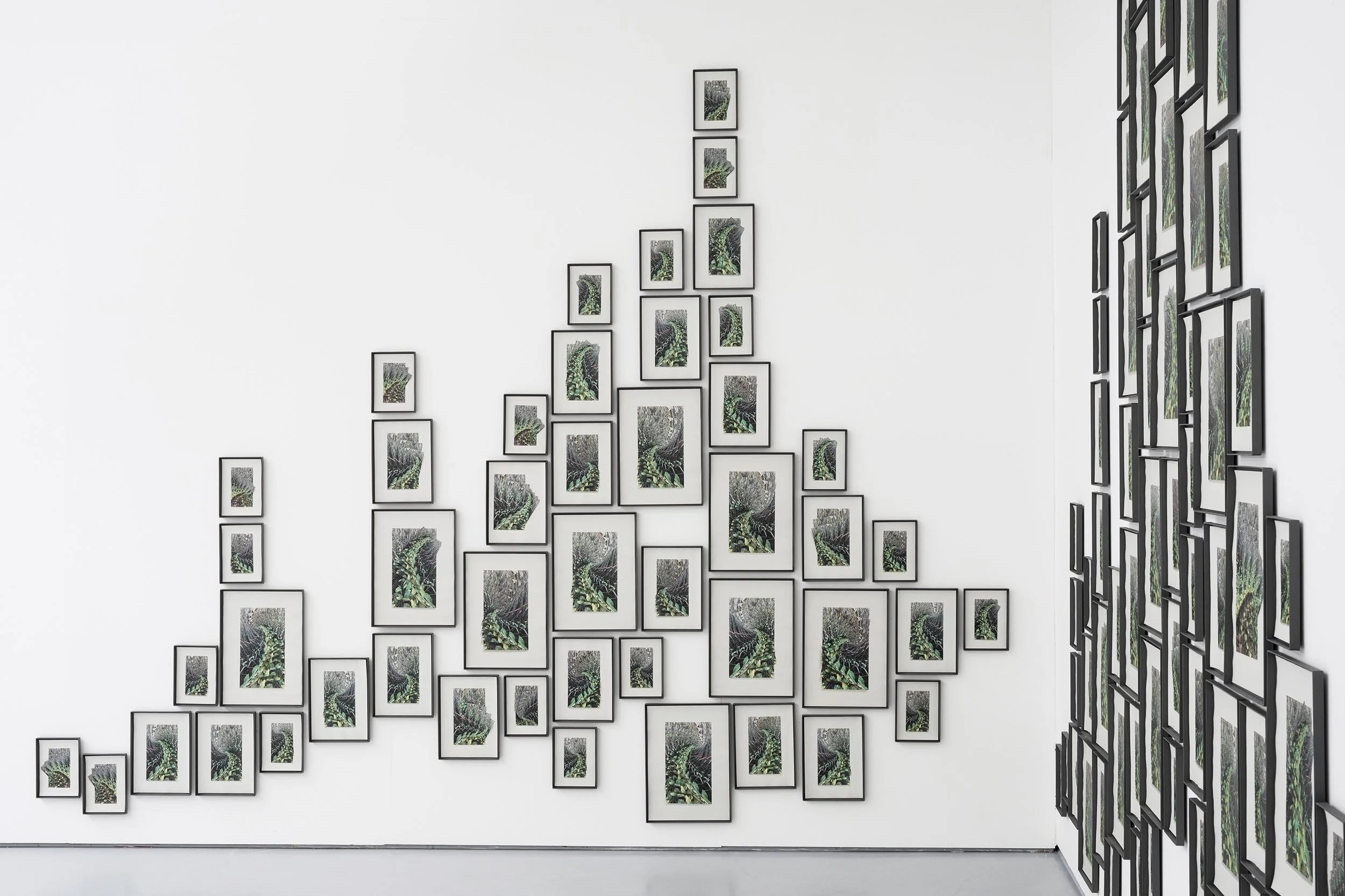 Crip2 260902_DCA_WeContainMultitudes21.jpg