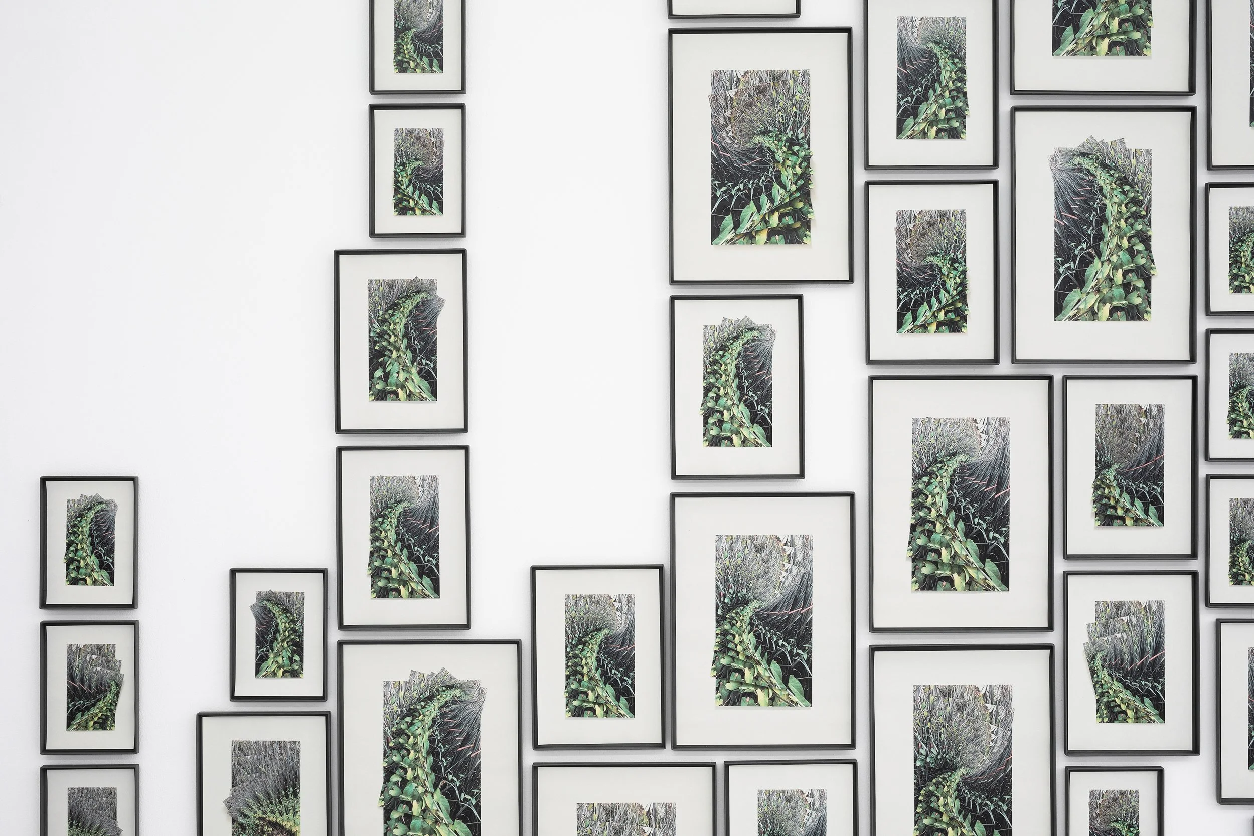 Crip3 260902_DCA_WeContainMultitudes23.jpg