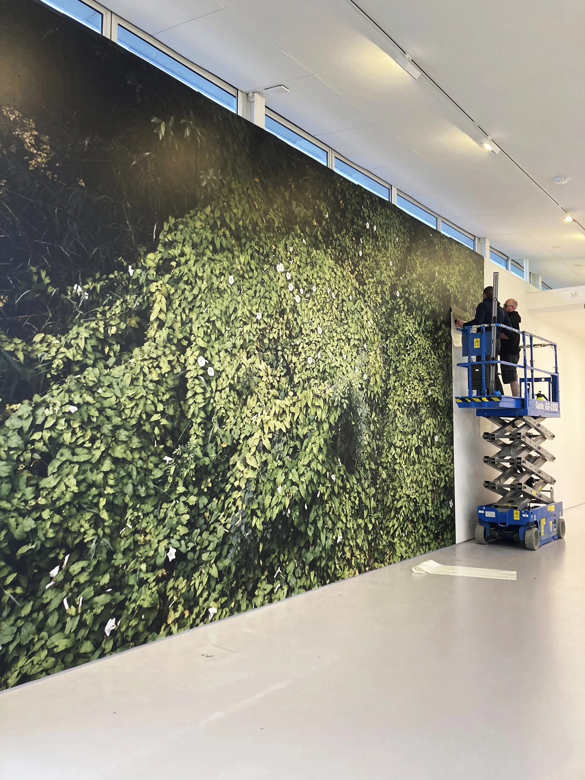 A Dangerous Insinuation install.jpg