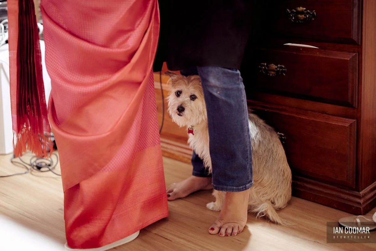 shri-shiva-vishnu-temple-wedding-family-dog.jpg