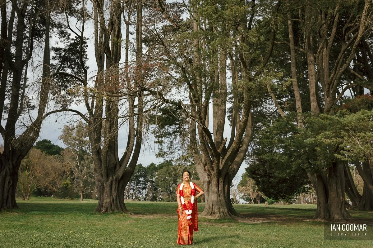 cathies-lane-receptions-wedding-saree-bride.jpg
