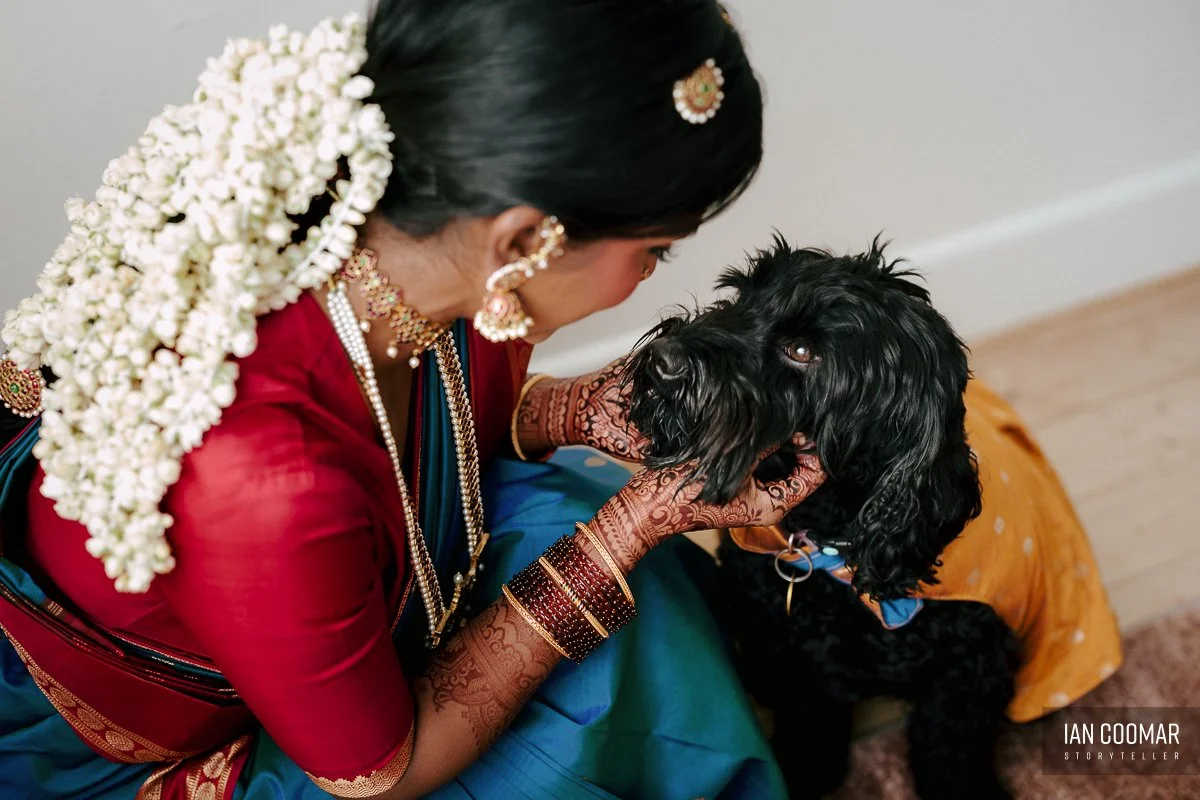 glasshaus-brucke-hindu-wedding-richmond-dog-bride.jpg