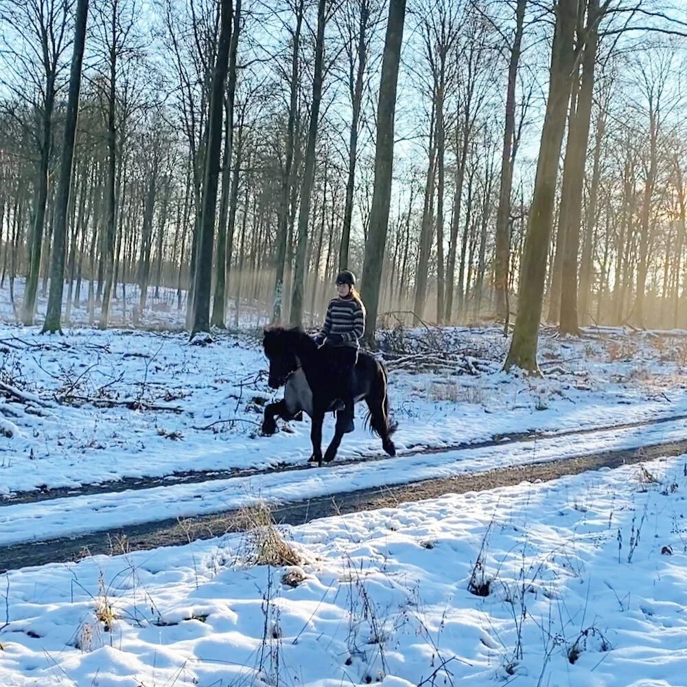 Sne og Gjafar 💙❄️🥰 #gjafarfrahvoli #winter #winterwonderland #ridinginthesnow #myfavorite