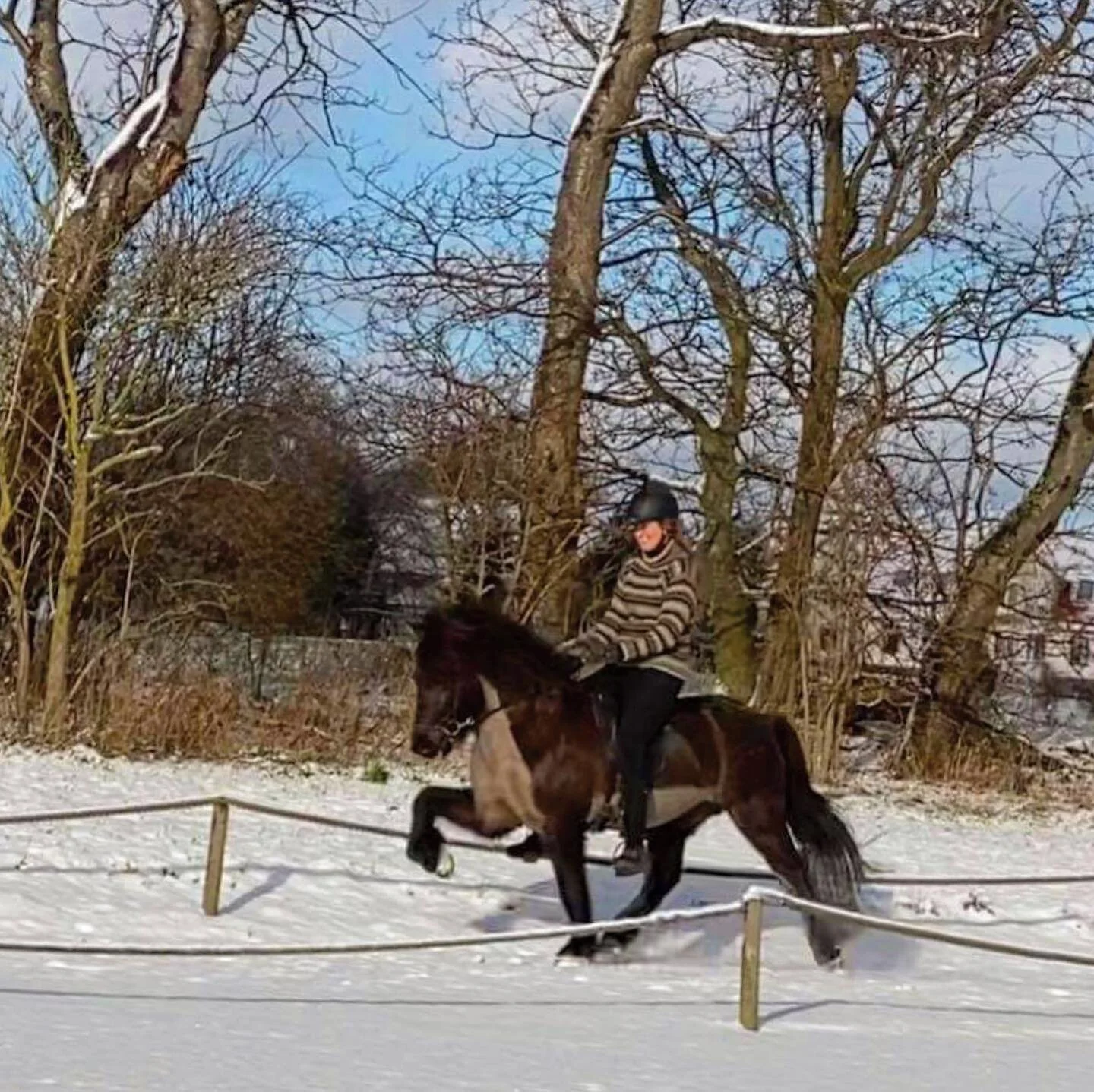 This horse always makes me smile 🥰 🤩 #gjafarfrahvoli #myfavorite #myworld #myeverything #forevergrateful #happyday #funinthesnow #wintertime
