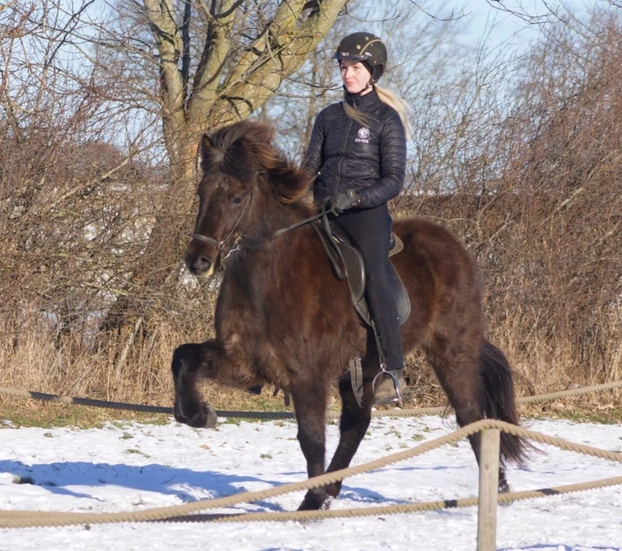 ❤️Dagn&yacute; fra Ulb&aelig;k❤️F&oslash;dt 2017. Kommende t&ouml;ltstjerne🌟🤩🥳F: Gjafar fra Hvoli, M: D&iacute;va fra Ulb&aelig;k @klaraolafsdottir #gjafarfrahvoli #staldulb&aelig;k #breedingisfun #futurelooksbright #futurestar #icelandichorse #ic