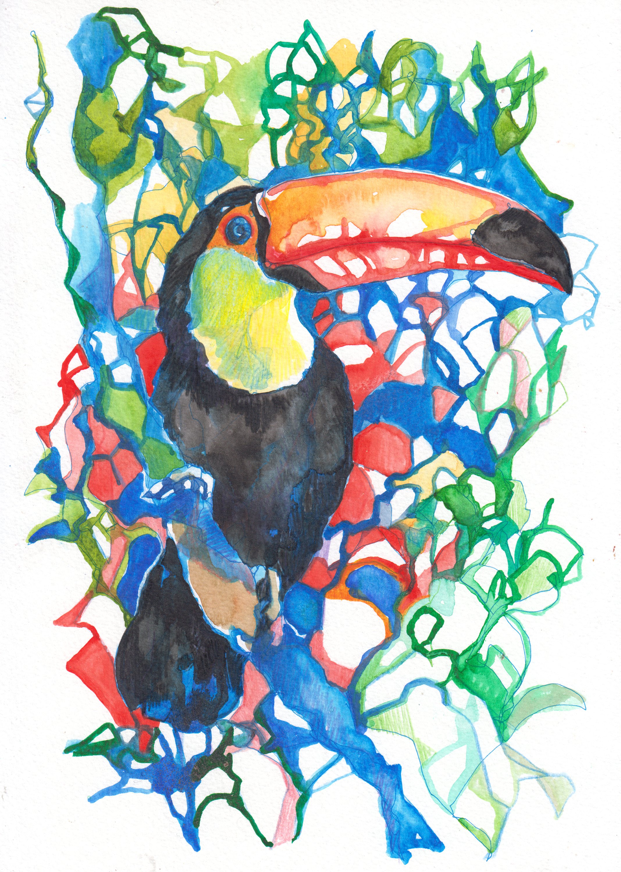 toucan 2.jpg