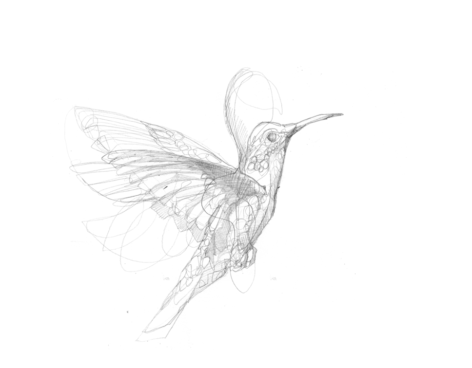 Webp.net-gifmaker (7).gif