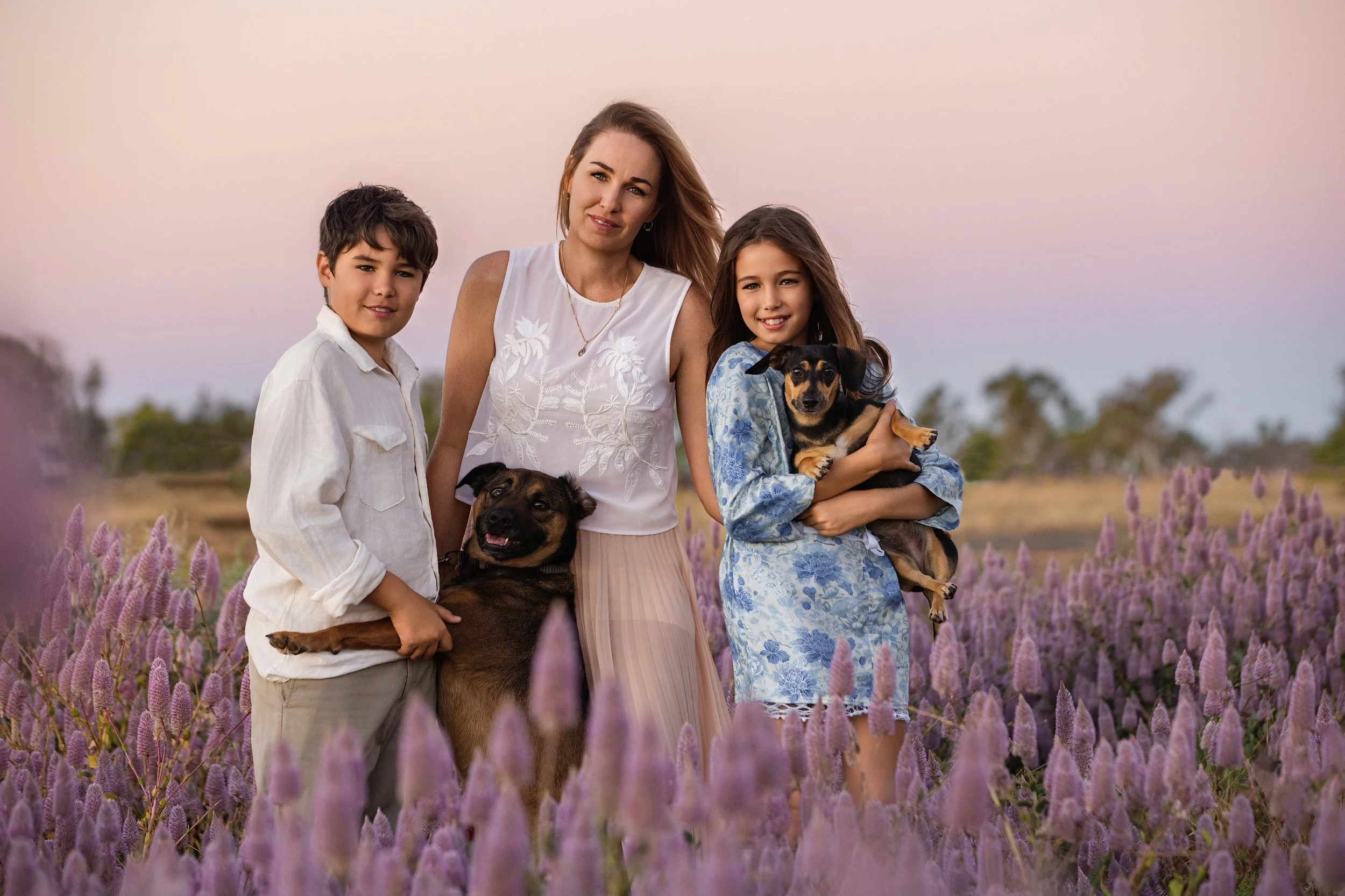 A woman and two children standing in a field of purple flowers at sunset, with two dogs, one in her arms and the other held by a boy.