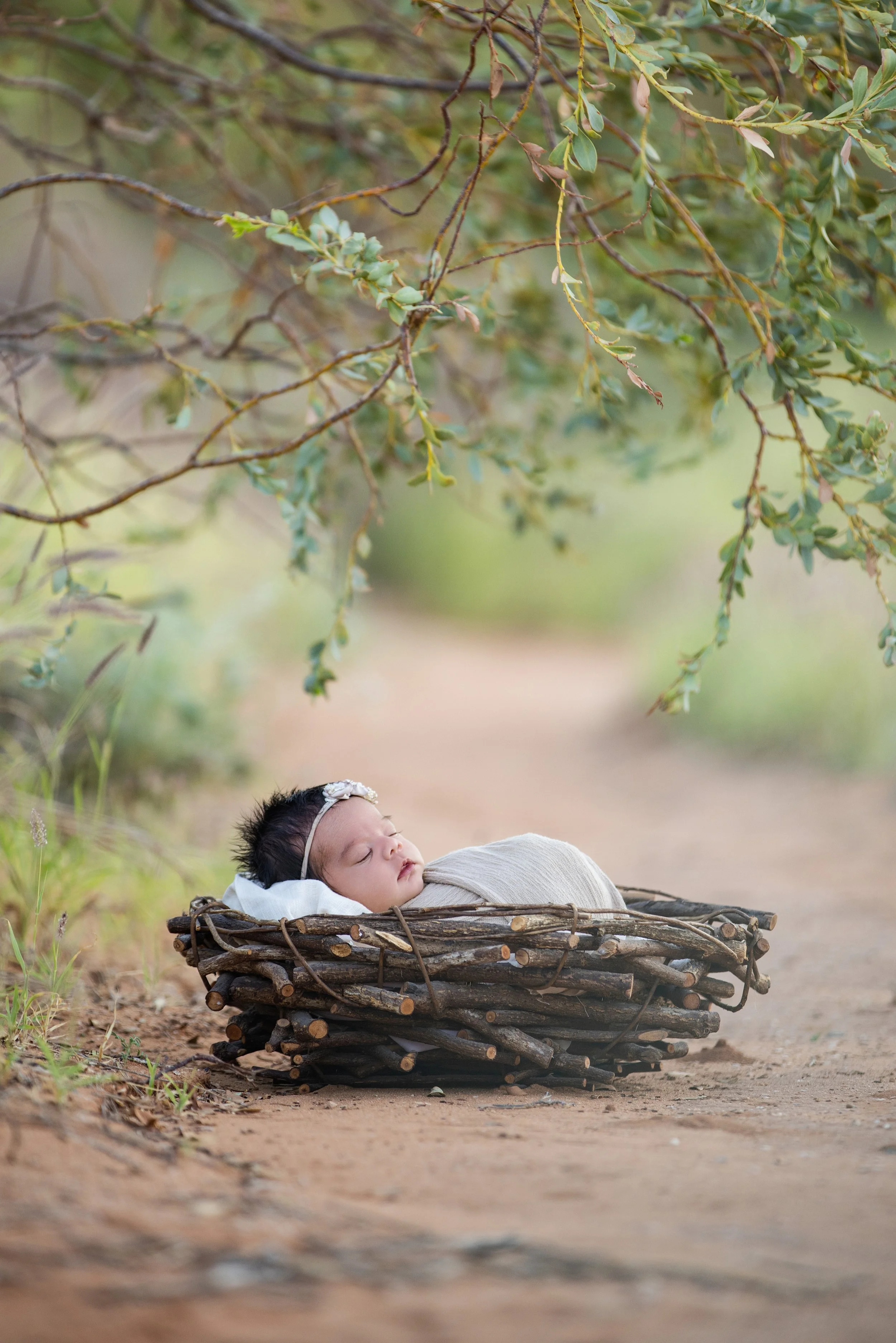outdoor newborn girl photoshoot in the Karratha Pilbara bush
