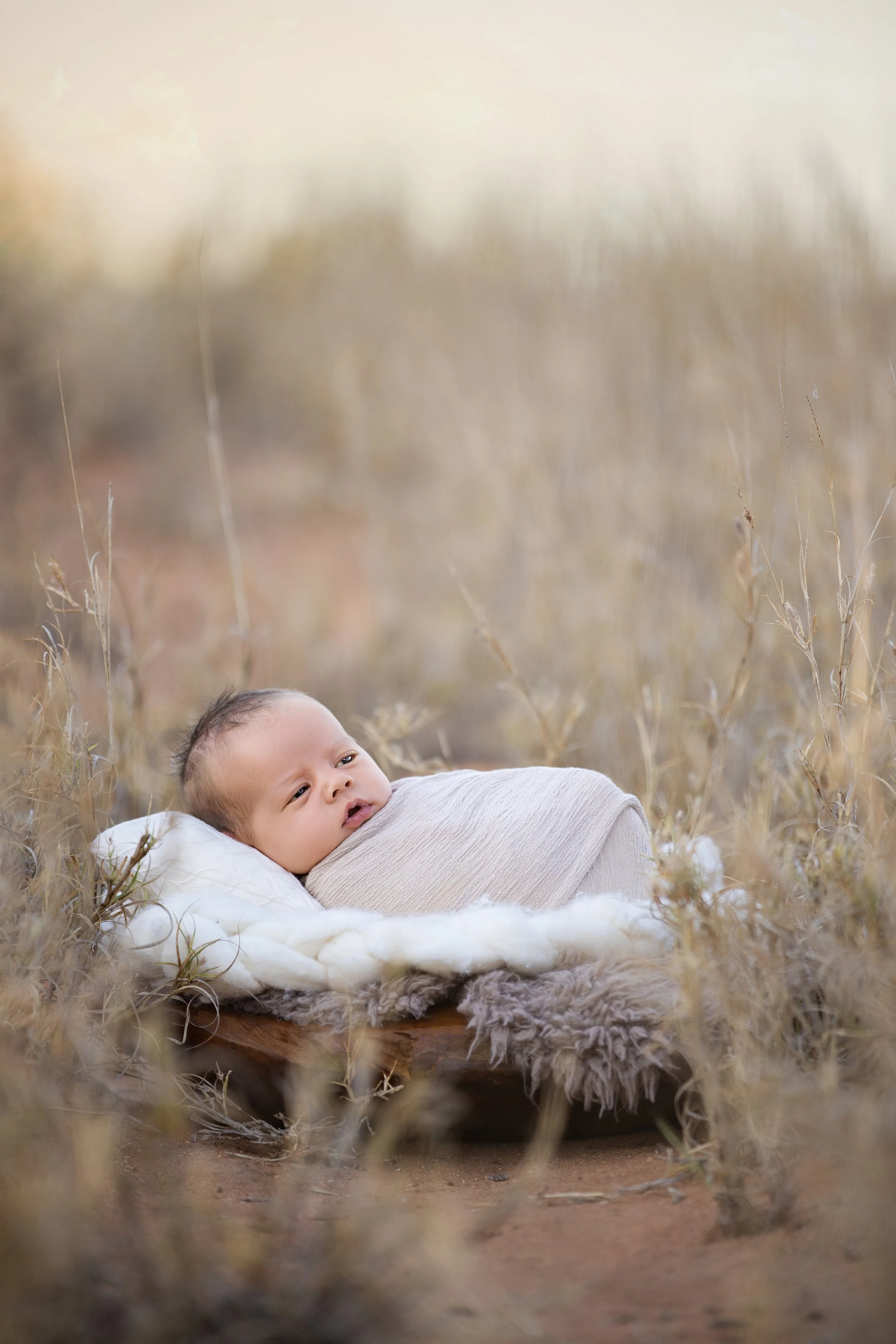 A baby lying on a soft blanket in a field of tall, dry grasses with a blurred background of more grasses and soft daylight.