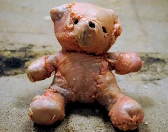 THE CURSE OF THE TURKEY TEDDY