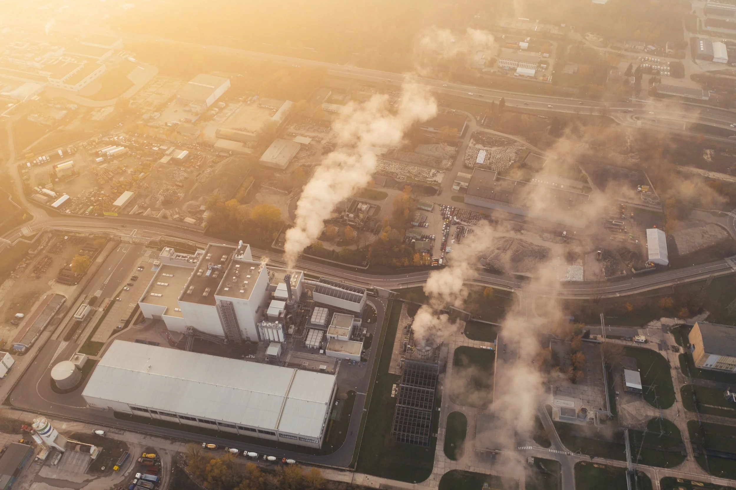 Should India consider a ‘net-zero’ climate pledge?