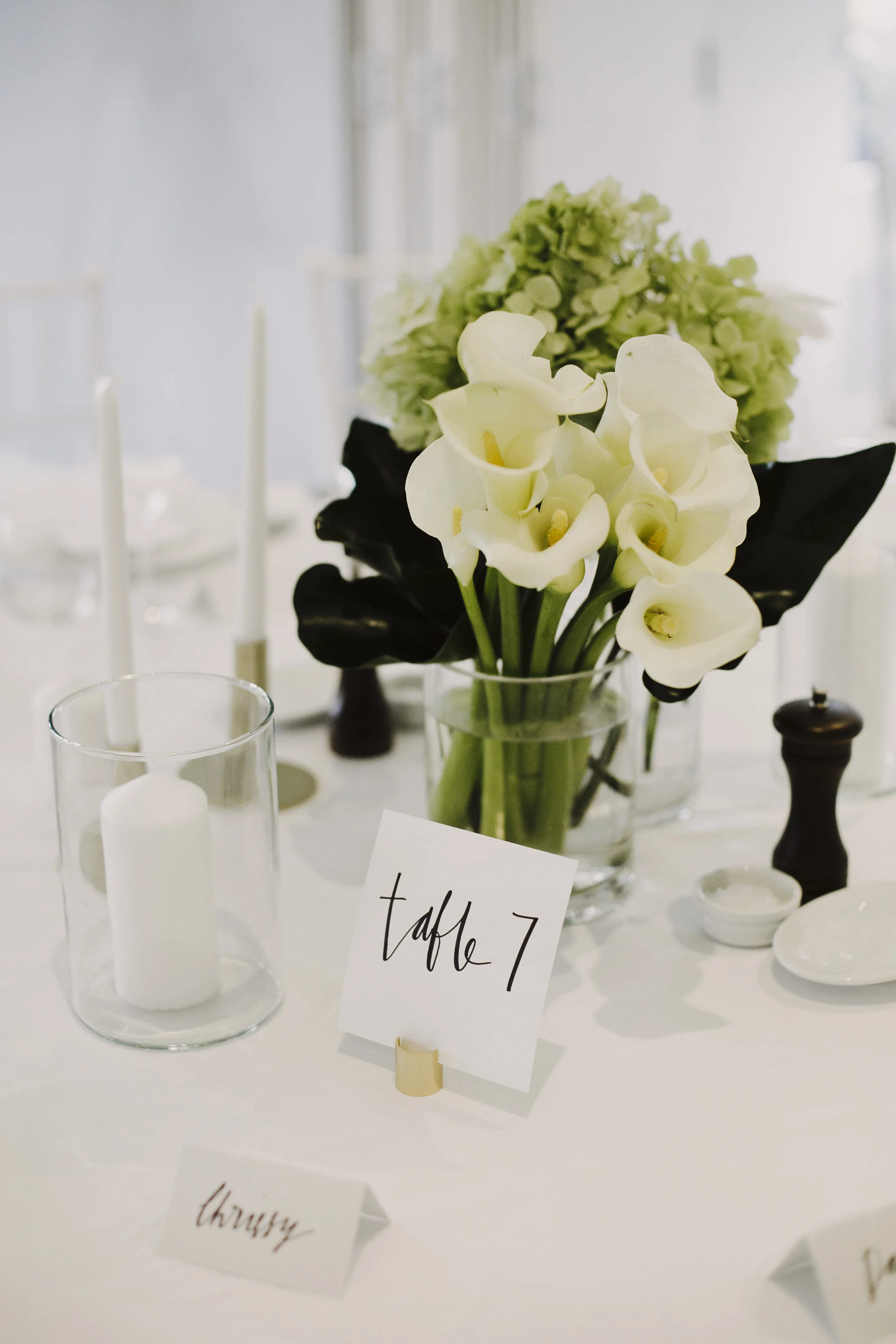 170318_justinaaron_wedding_chanelle_david_p-4.jpg