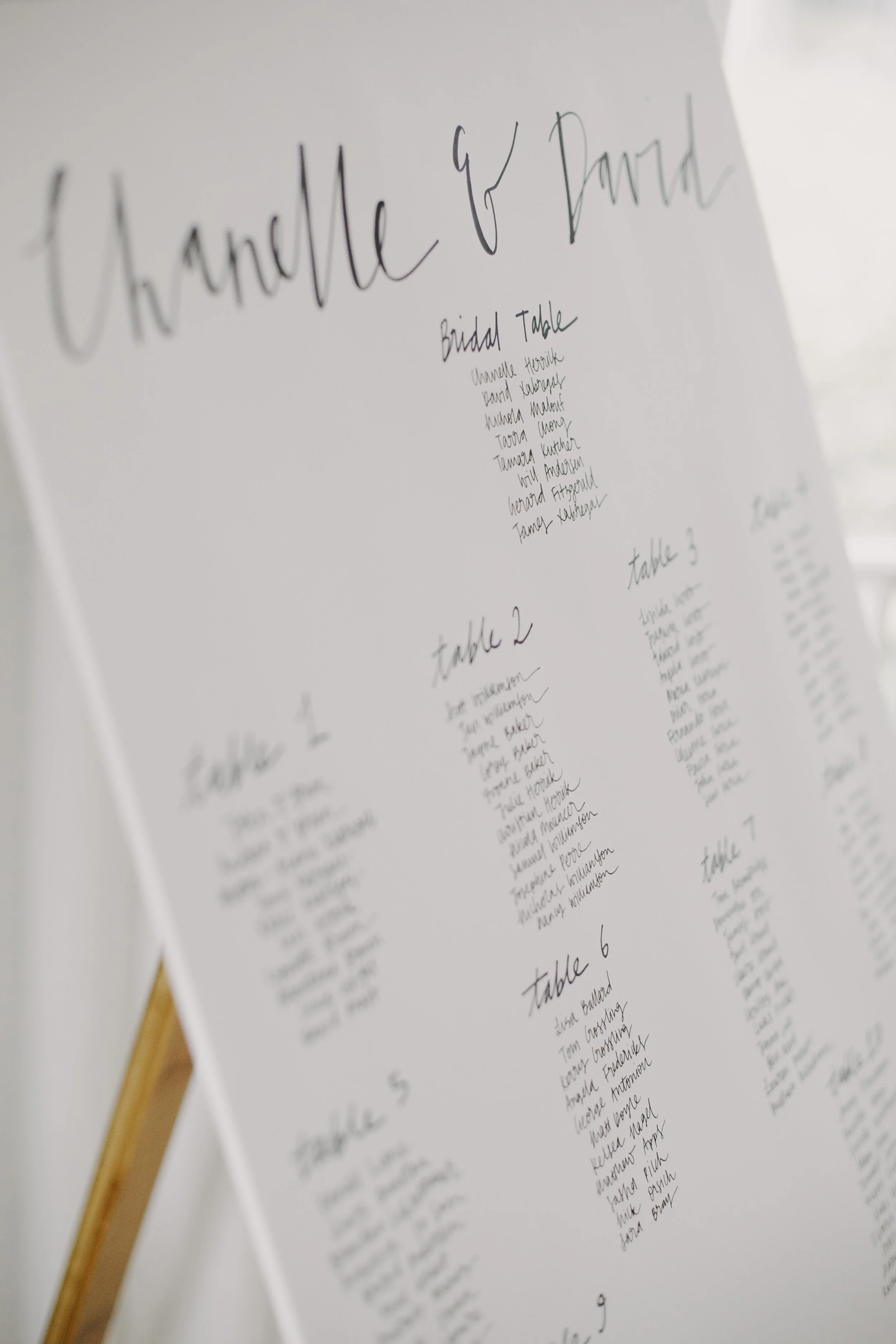 170318_justinaaron_wedding_chanelle_david_p-3.jpg