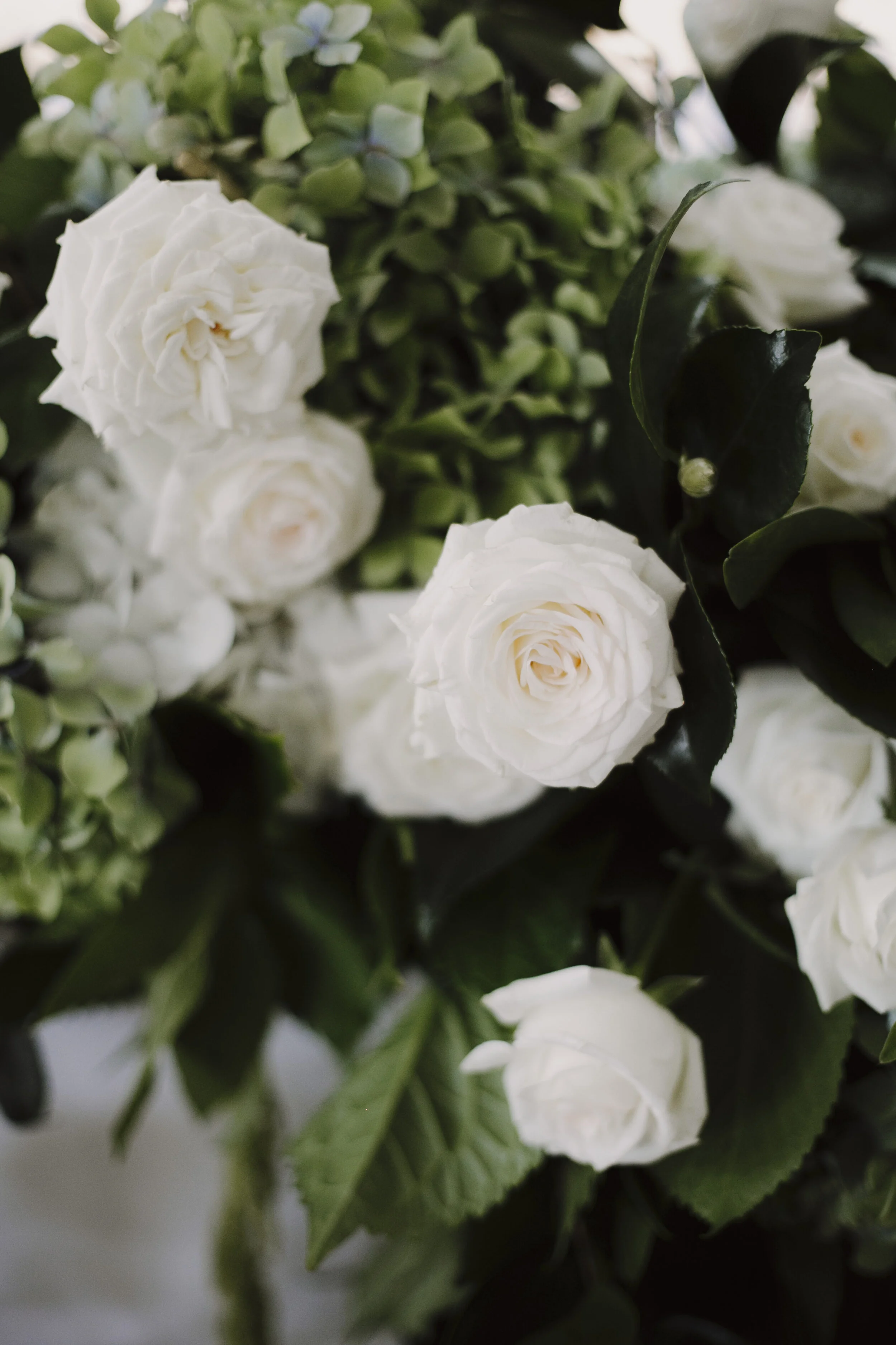 170318_justinaaron_wedding_chanelle_david_p-17.jpg
