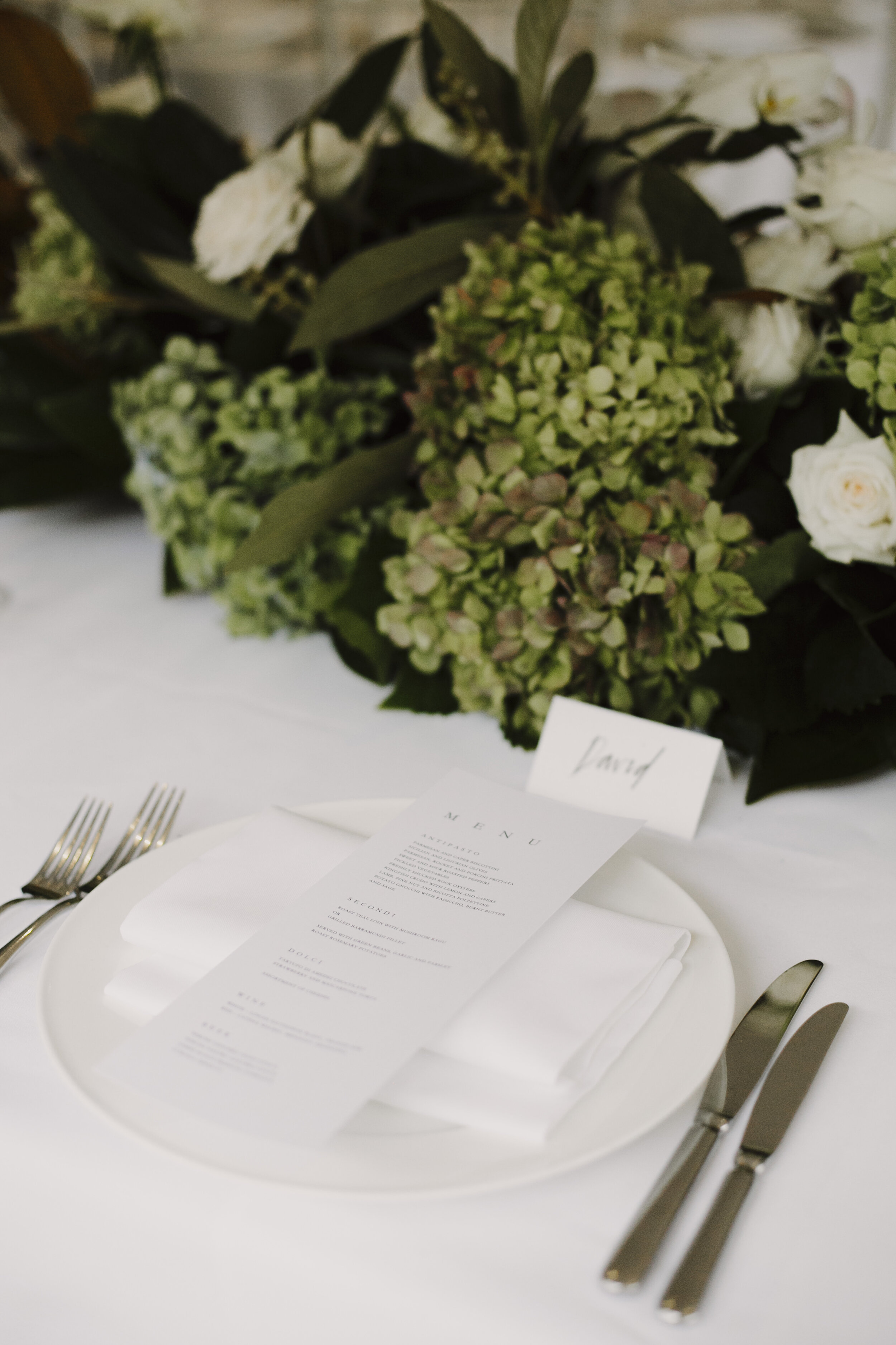 170318_justinaaron_wedding_chanelle_david_p-6.jpg