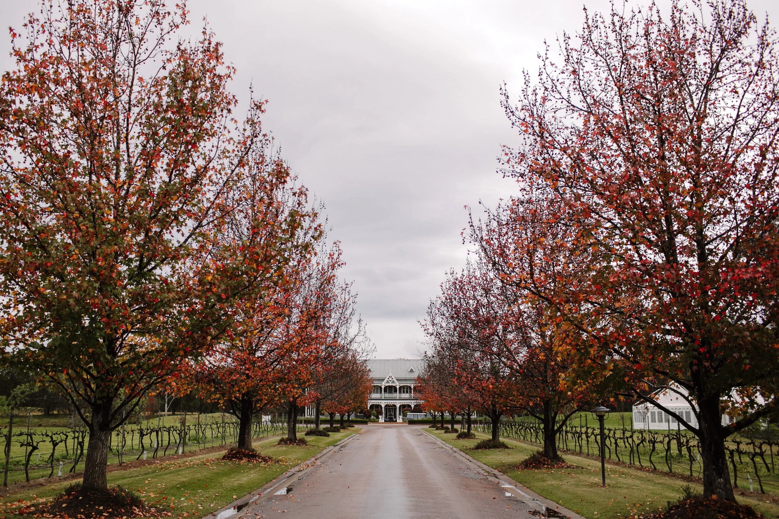 justinaaronphotographer_circa1876_huntervalley_brooke_leith_b-001.JPG