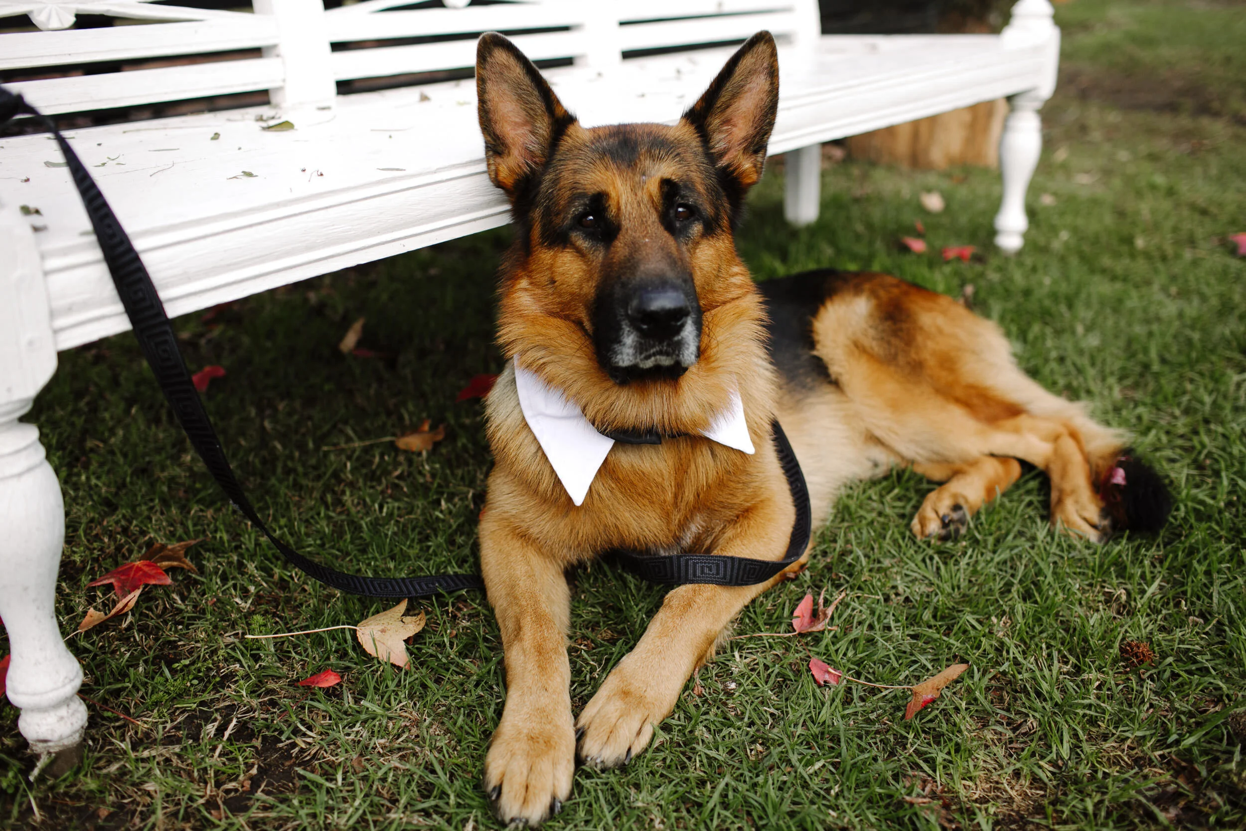 justinaaronphotographer_circa1876_huntervalley_brooke_leith_b-072.JPG