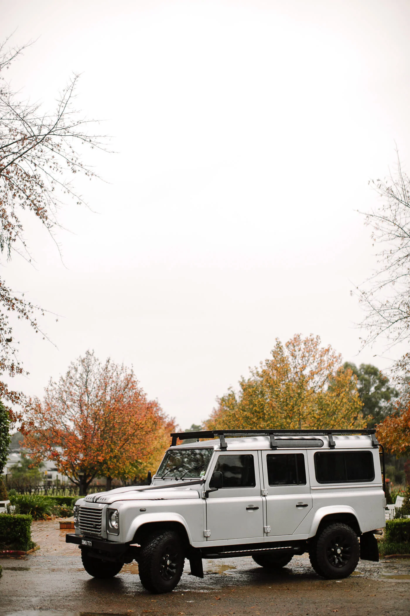justinaaron-catalina-rosebay-wedding-courtney-alex-084.jpg