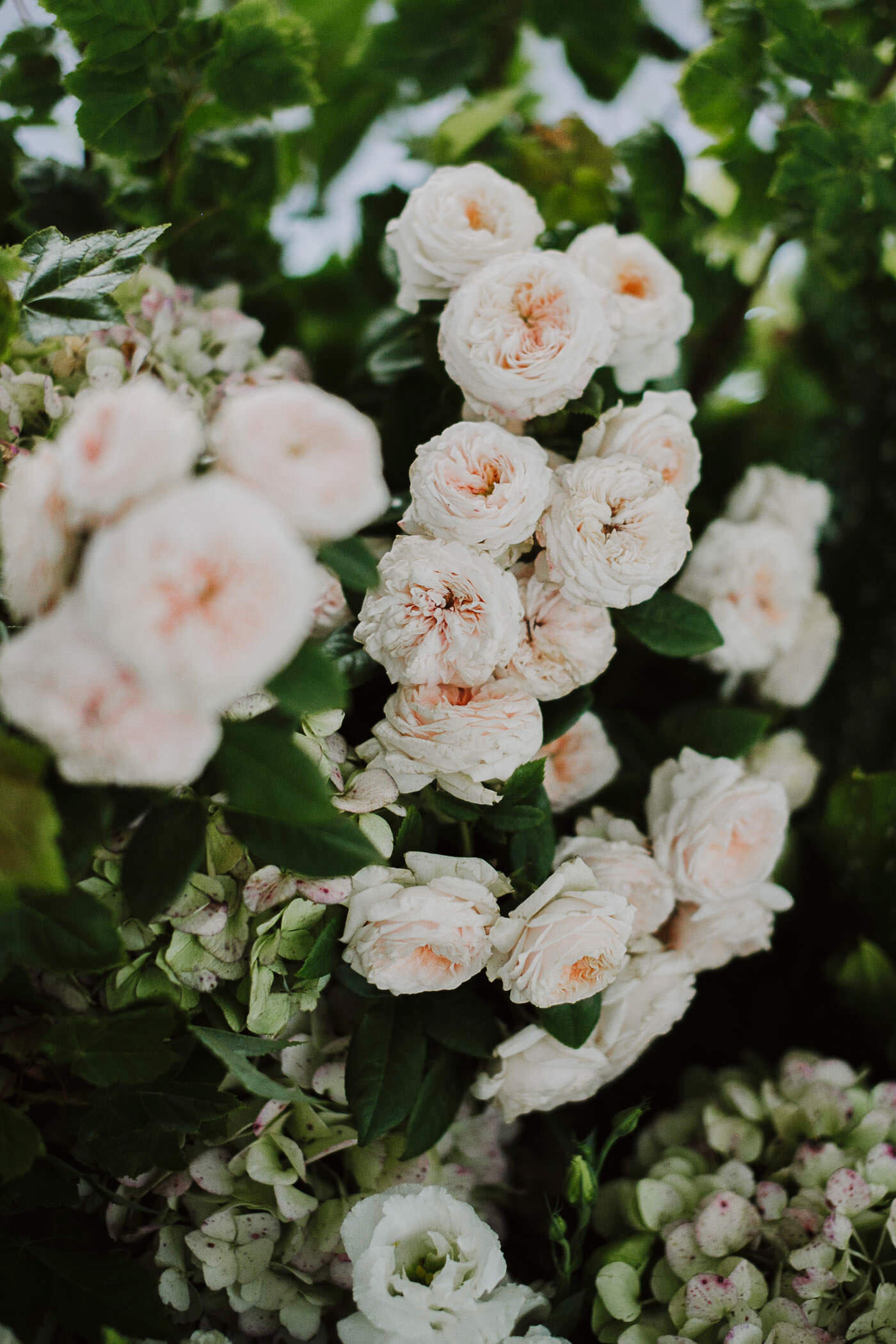 justinaaron-catalina-rosebay-wedding-tracey-christopher-071.jpg