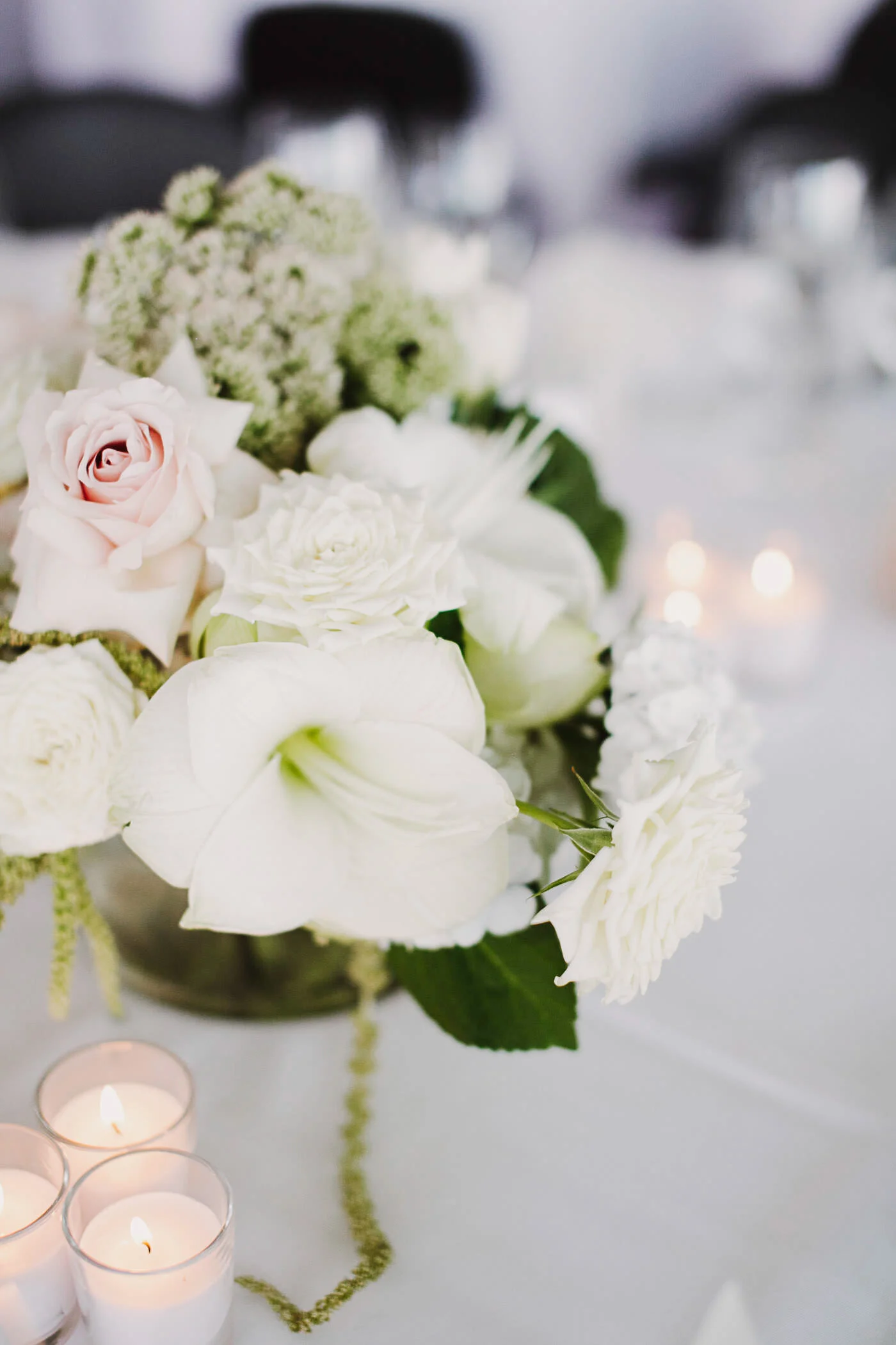 justinaaron-catalina-rosebay-wedding-tracey-christopher-068.jpg