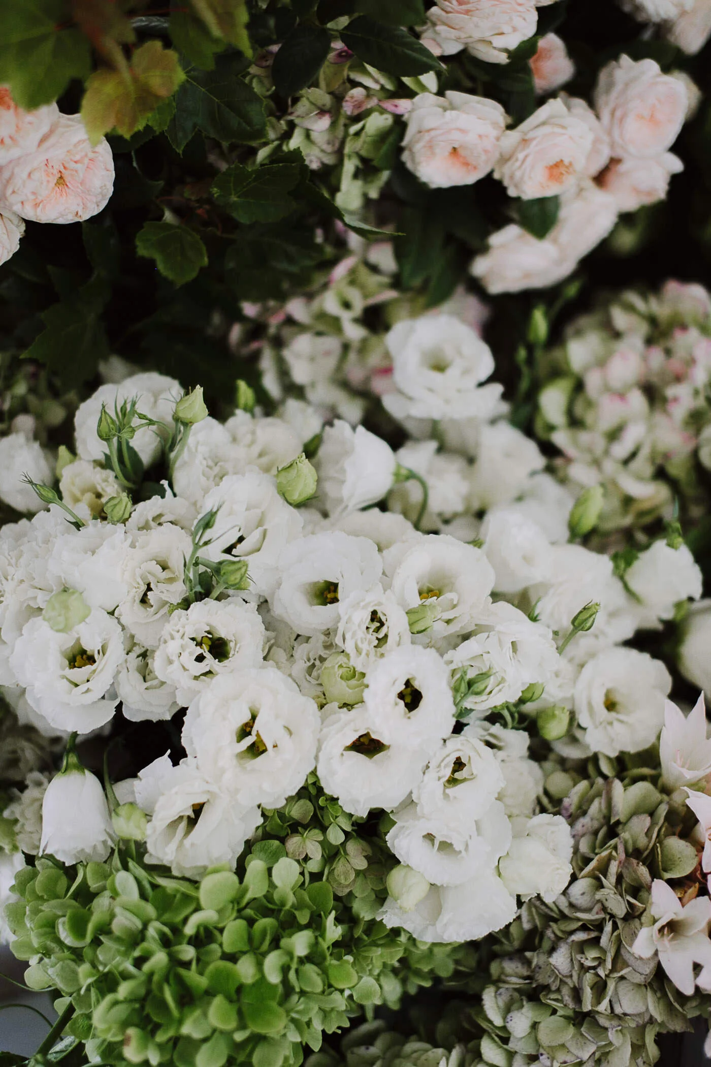 justinaaron-catalina-rosebay-wedding-tracey-christopher-072.jpg