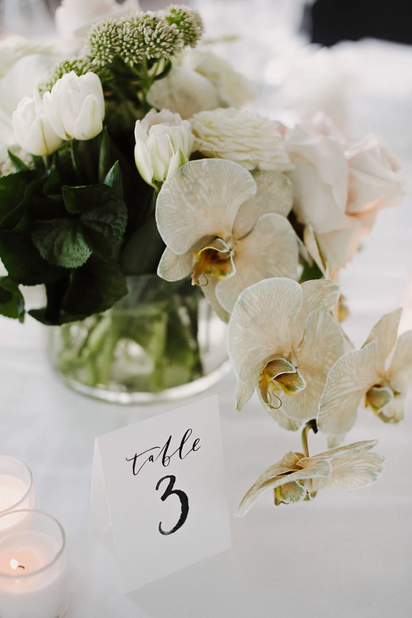 justinaaron-catalina-rosebay-wedding-tracey-christopher-073.jpg