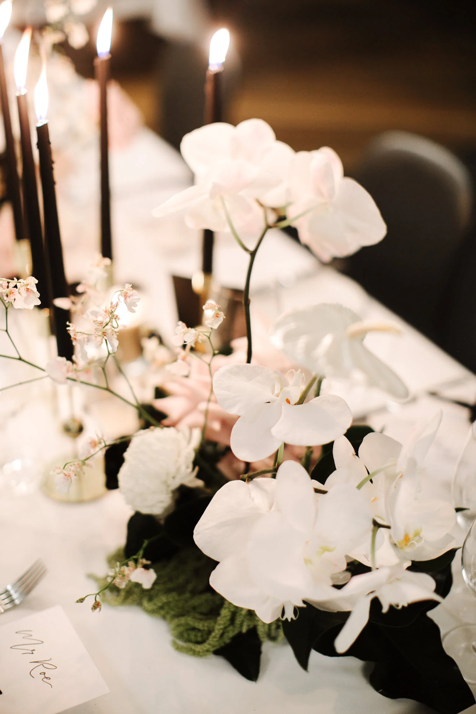 justinaaron-catalina-rosebay-wedding-courtney-alex-090.jpg