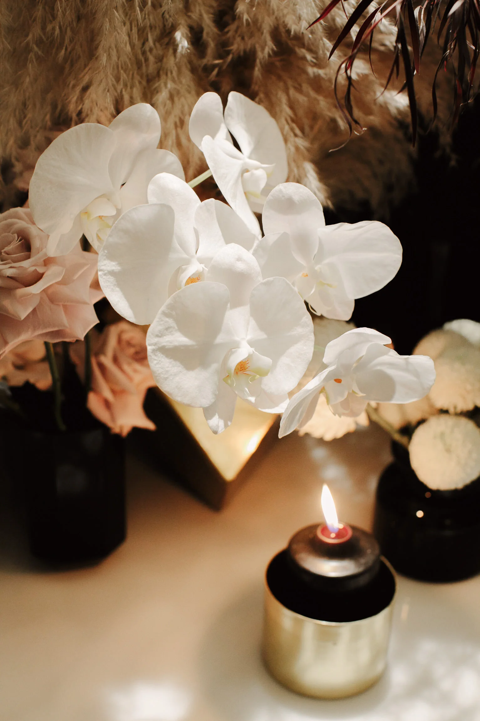 justinaaron-catalina-rosebay-wedding-courtney-alex-092.jpg