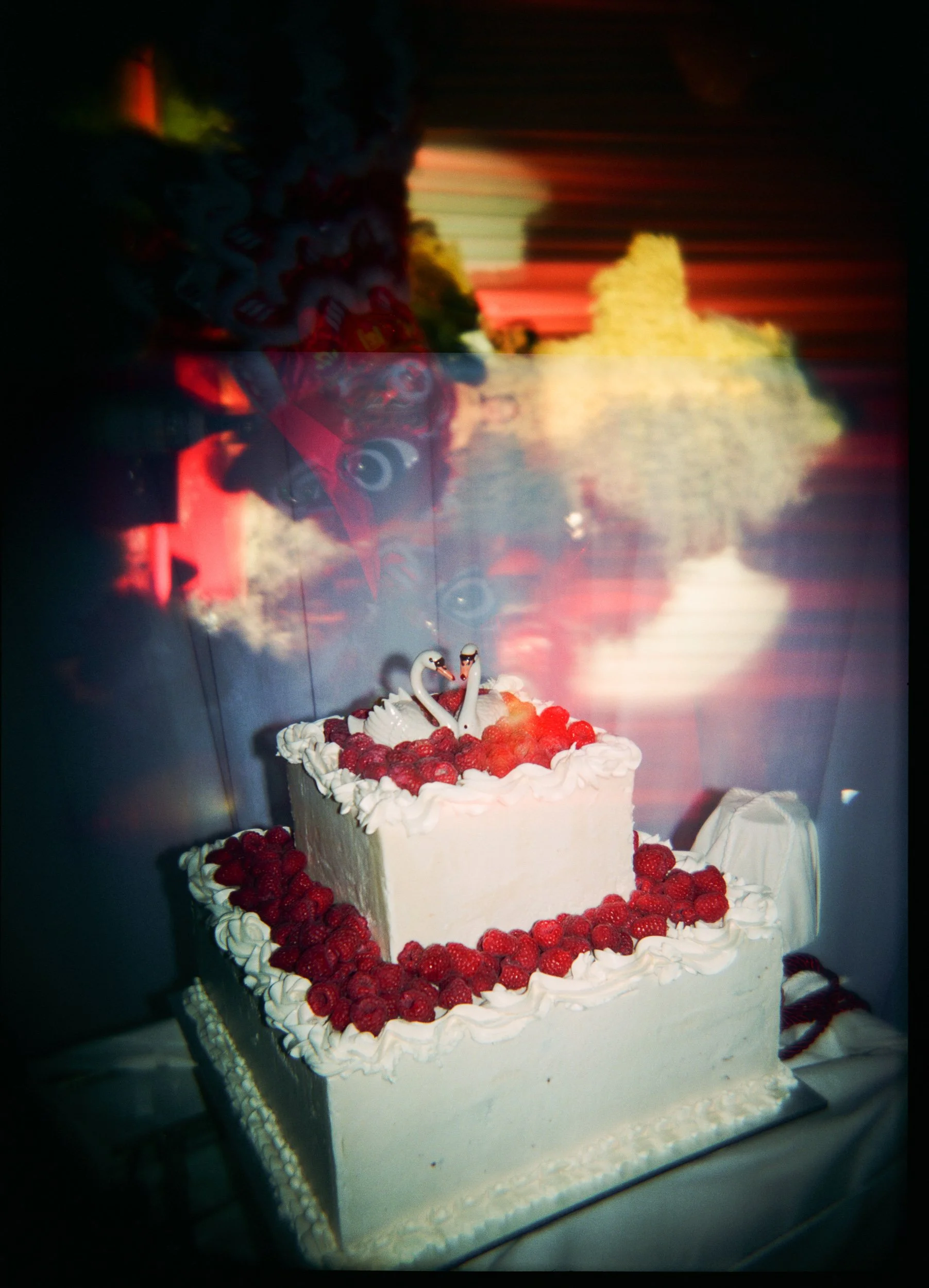 sydney_wedding_photographer_fola_colourblind_wedding_shanice_jarryd_vogue_australia_-137.jpg