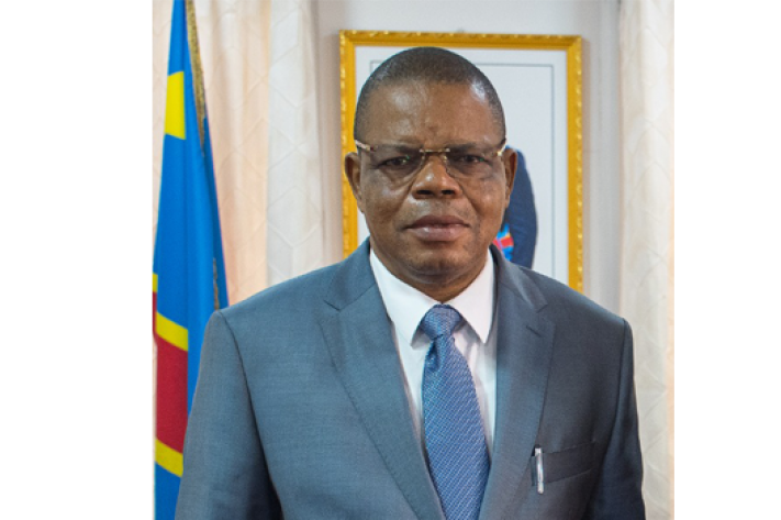 Bertin Tshisekedi, Director General for Fund for the Promotion of Industry, Democratic Republic of the Congo