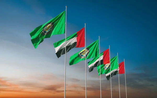 Insights on Gulf-Africa Commercial Ties: An Interview with Diligencia