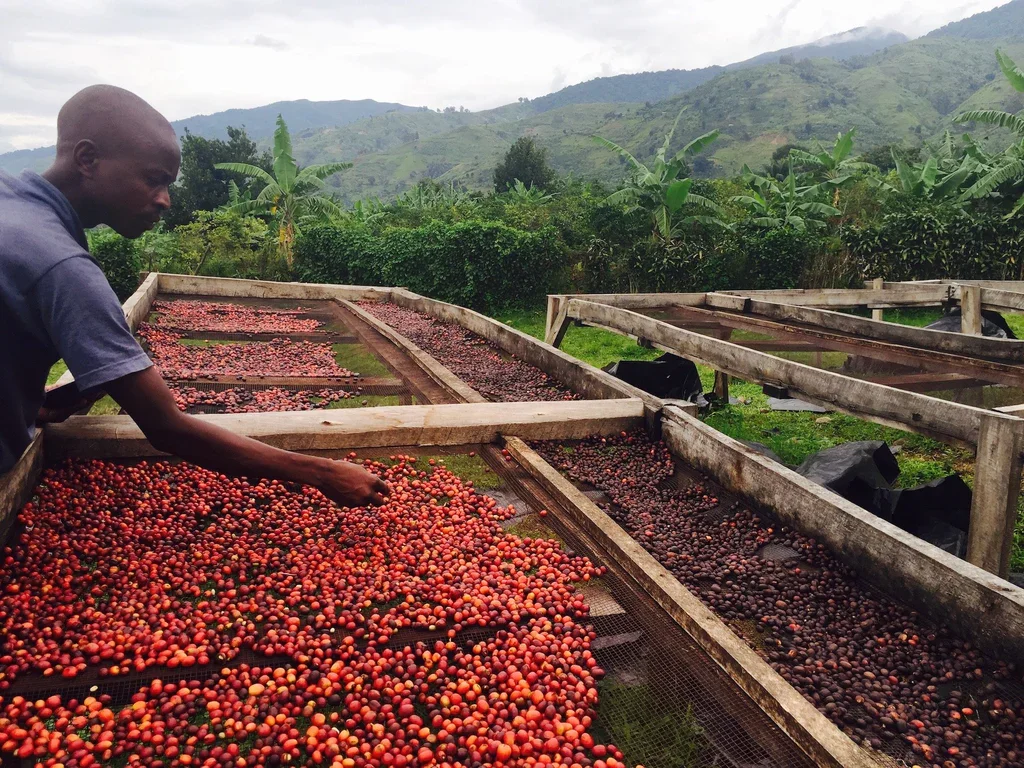 Invest in Rwanda: The Green Investment Opportunity