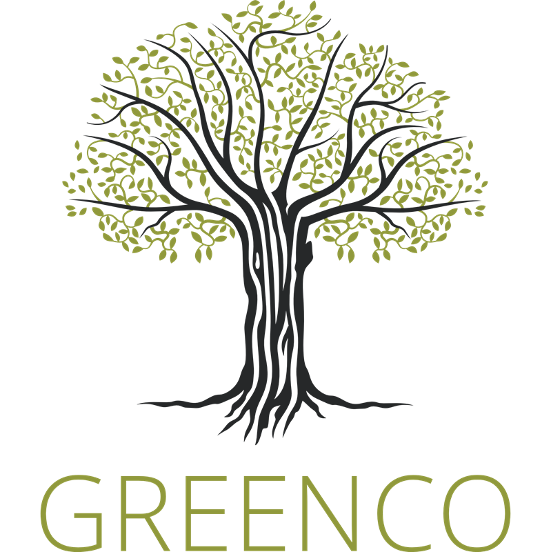 GreenCo wins Solar Deal of the Year for Africa at IJGlobal Awards 2025