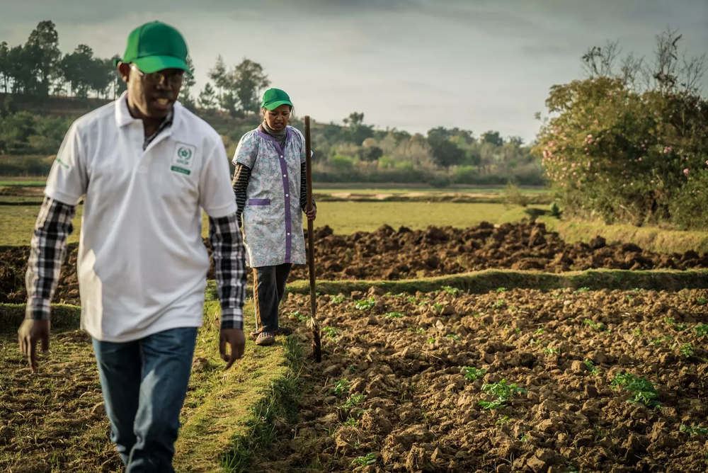 UAE-Africa: Building Resilient Food and Water Systems — Invest Africa