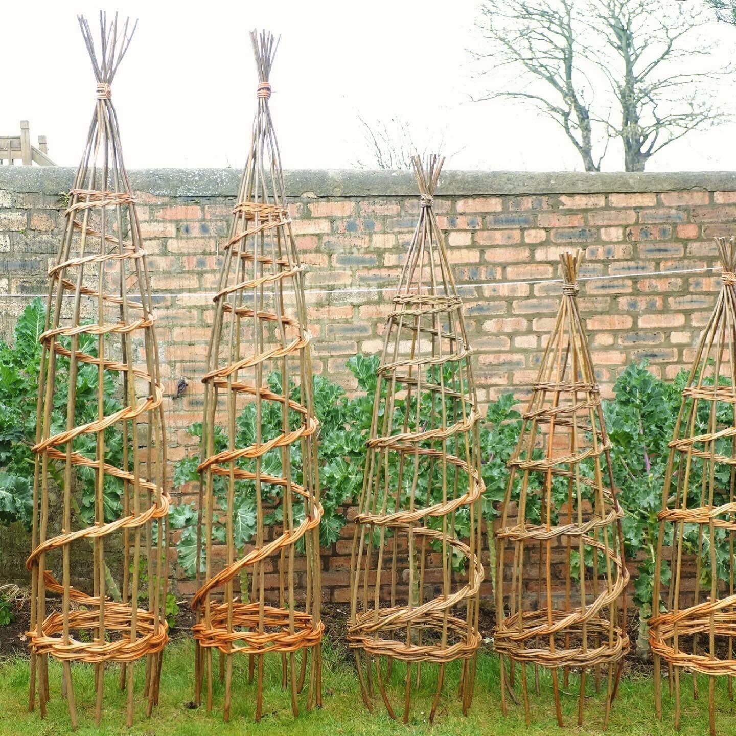 Pea Cones! Available through my website (www.annaliebmann.net), in 5&rsquo;, 6&rsquo;, and 7&rsquo; versions.

Made using local willow from #thefield in Duddingston, #archerfieldwalledgarden near North Berwick, and Somerset willow. 

Great for growin