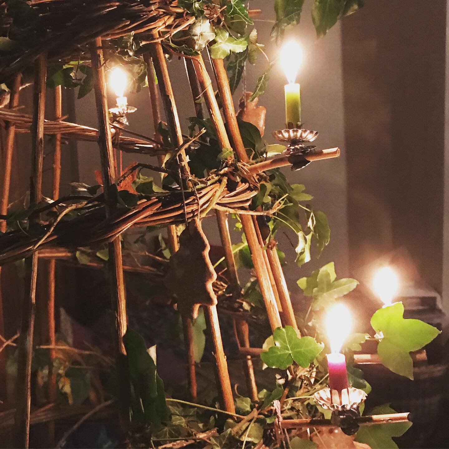 If you are looking for a sustainable Christmas Tree / Solstice Decoration, might I suggest a pea cone (plant support)? You can use it with candles (I didn&rsquo;t say that) or fairy lights and green foliage to bring the outside in for the darker days