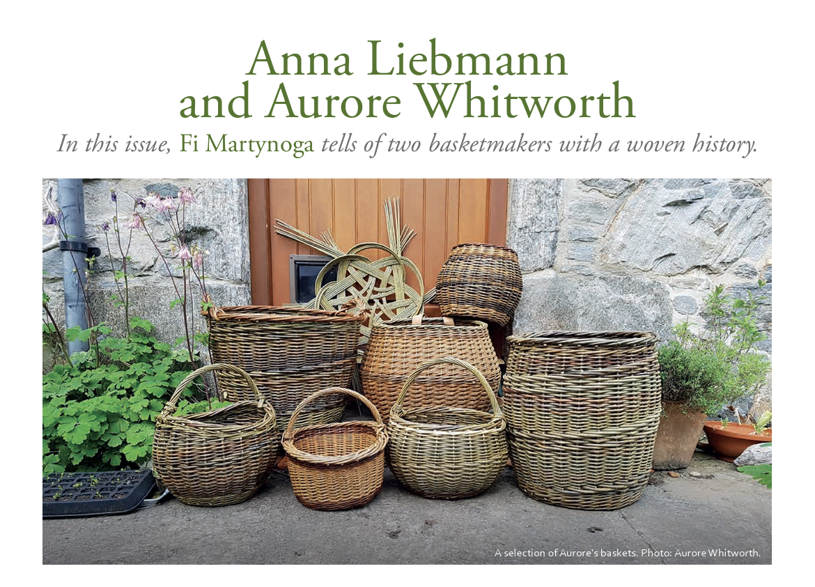 Reforesting Scotland 2022