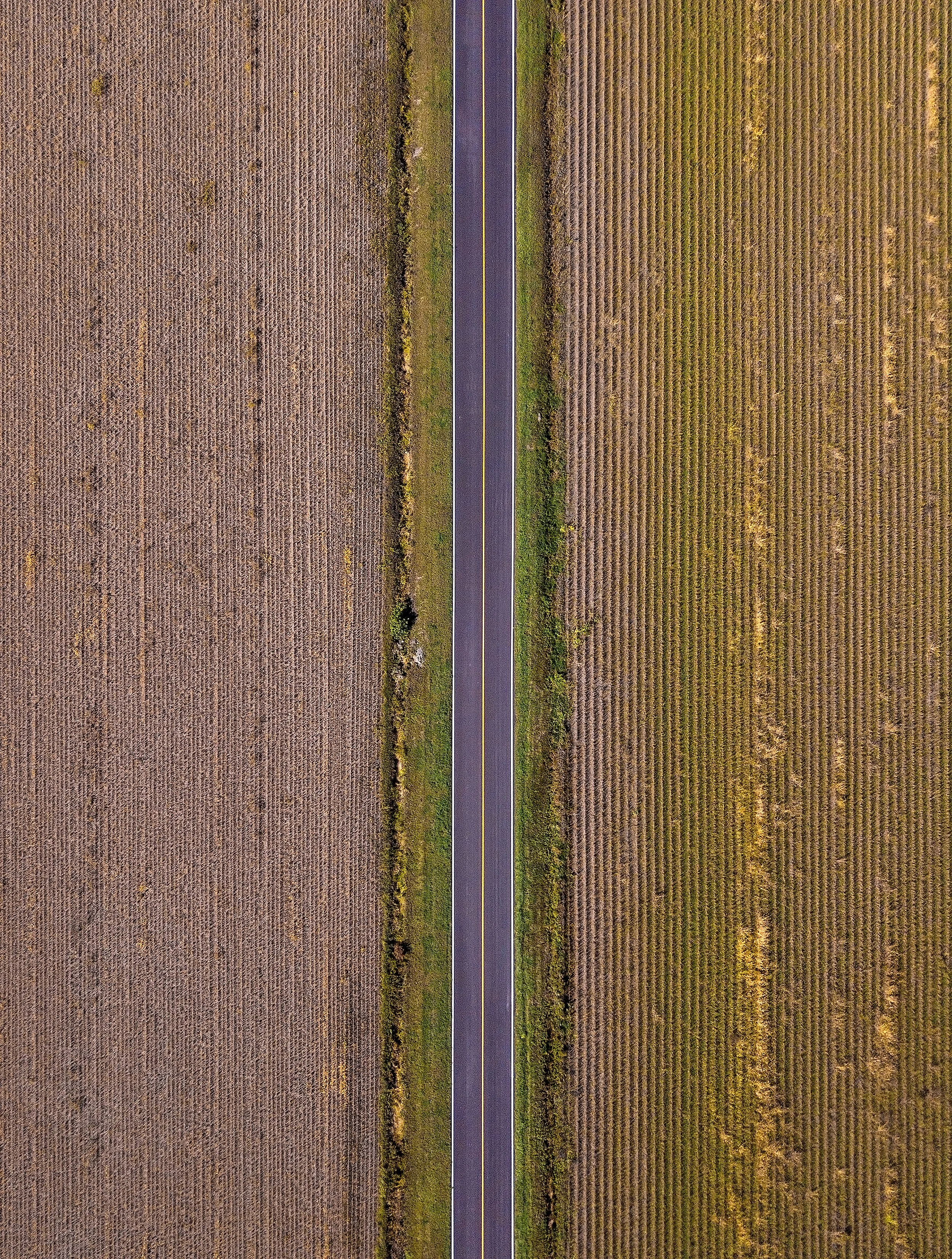 DJI_0124-Edit copie.jpg