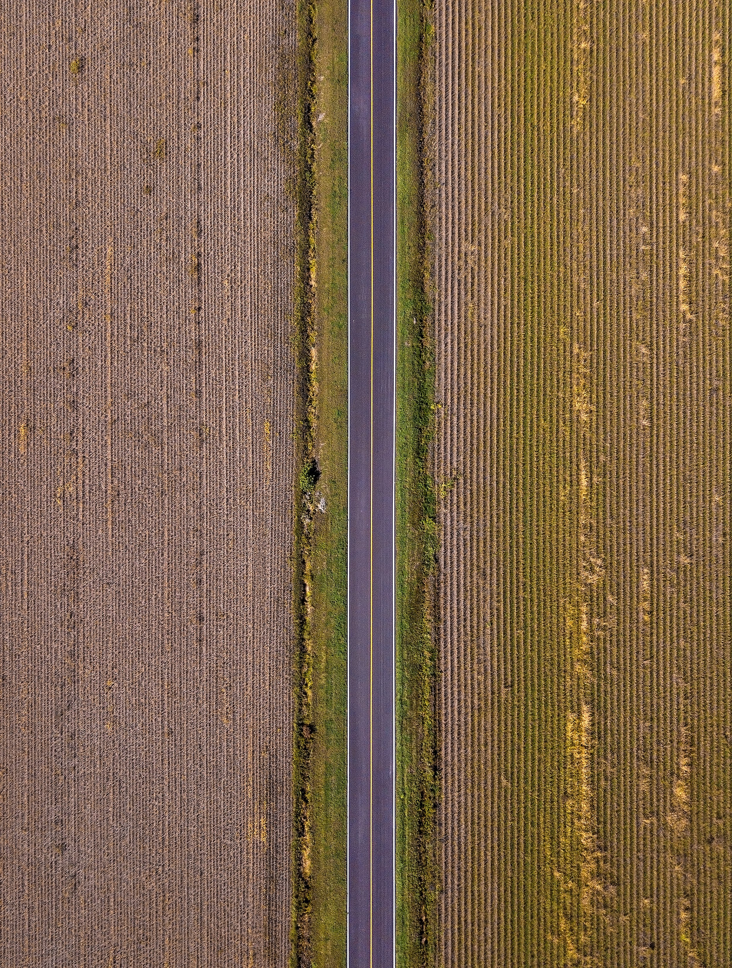 DJI_0124-Edit copie.jpg